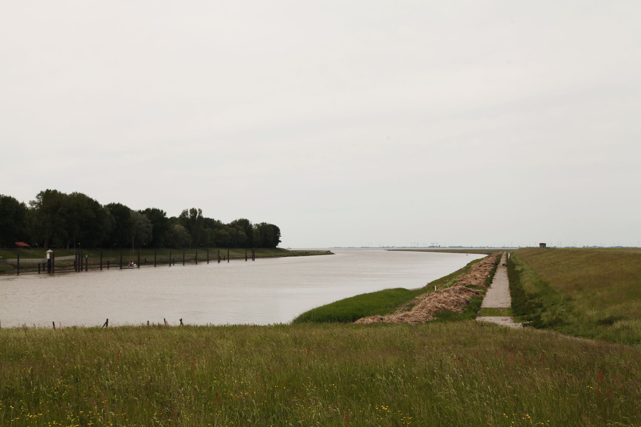 Ostemündung in die Elbe