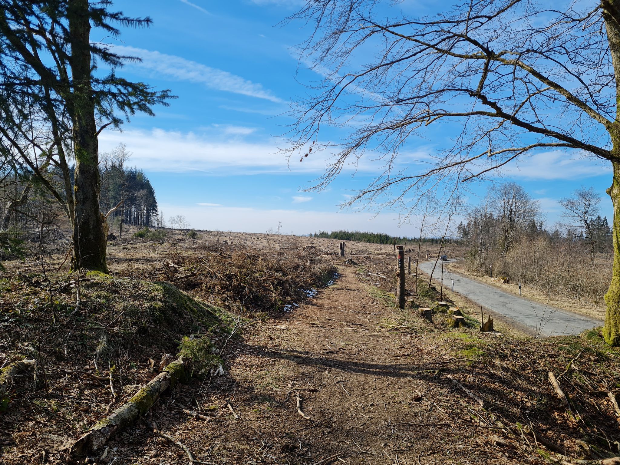 Waldweg? Wald weg!!!