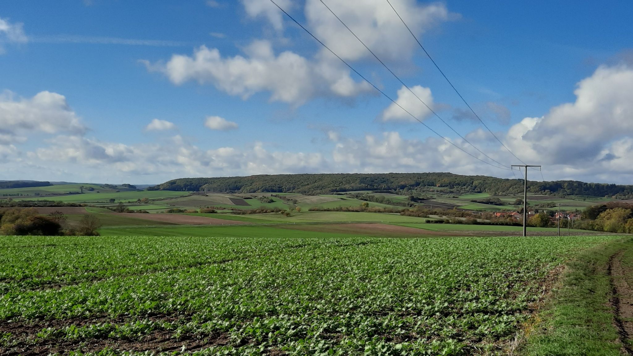 Blick nach Oberlauringen