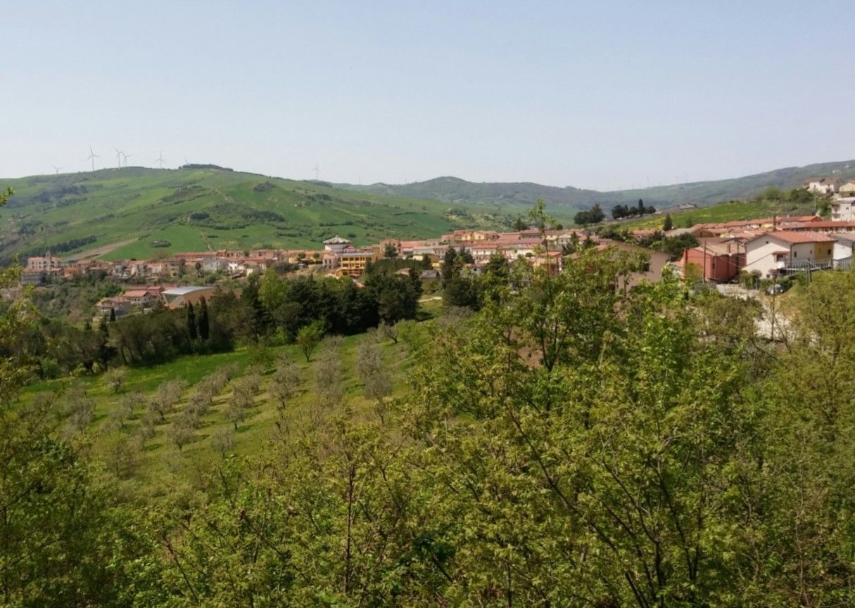 San Bartolomeo in Galdo: guida del Fortore con la maestosa Chiesa Madre, la Badia di Santa Maria della Crepacore e il Museo Civico.
