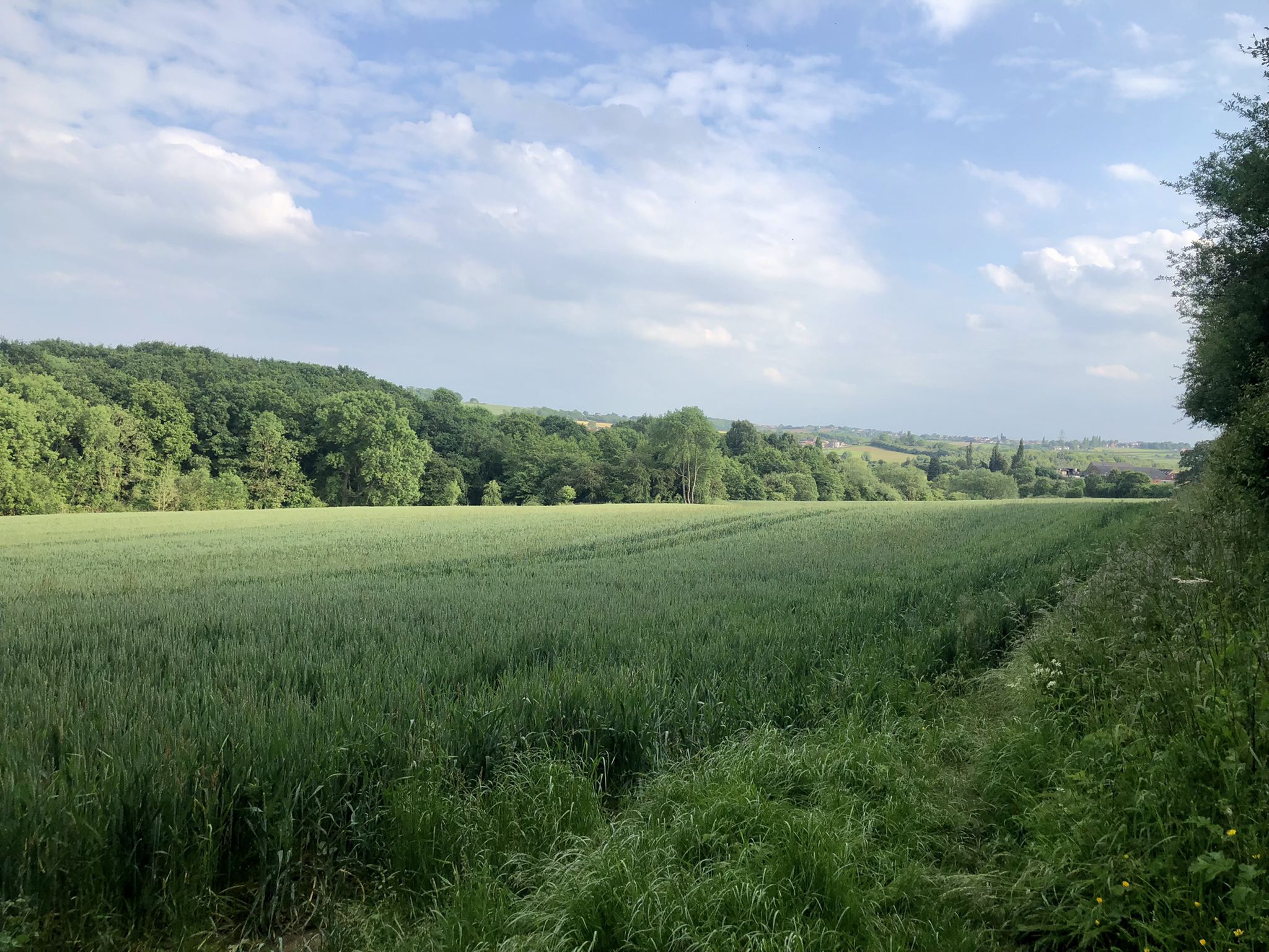 Spot the Bridleway