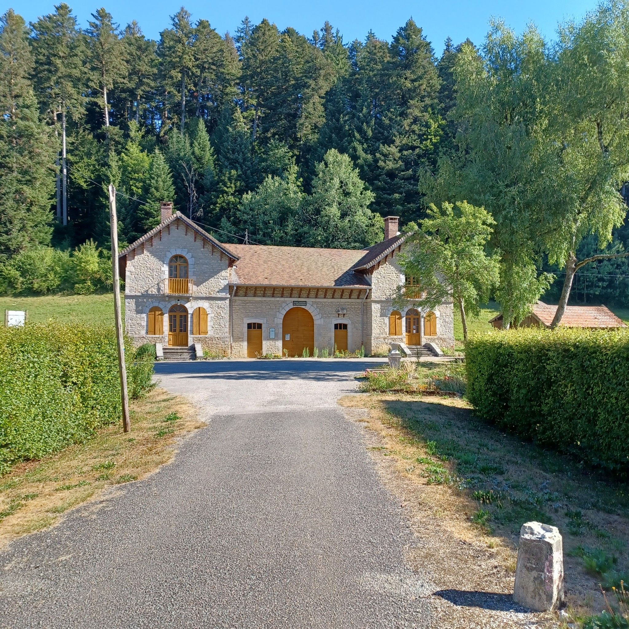 MF du chevreuil
