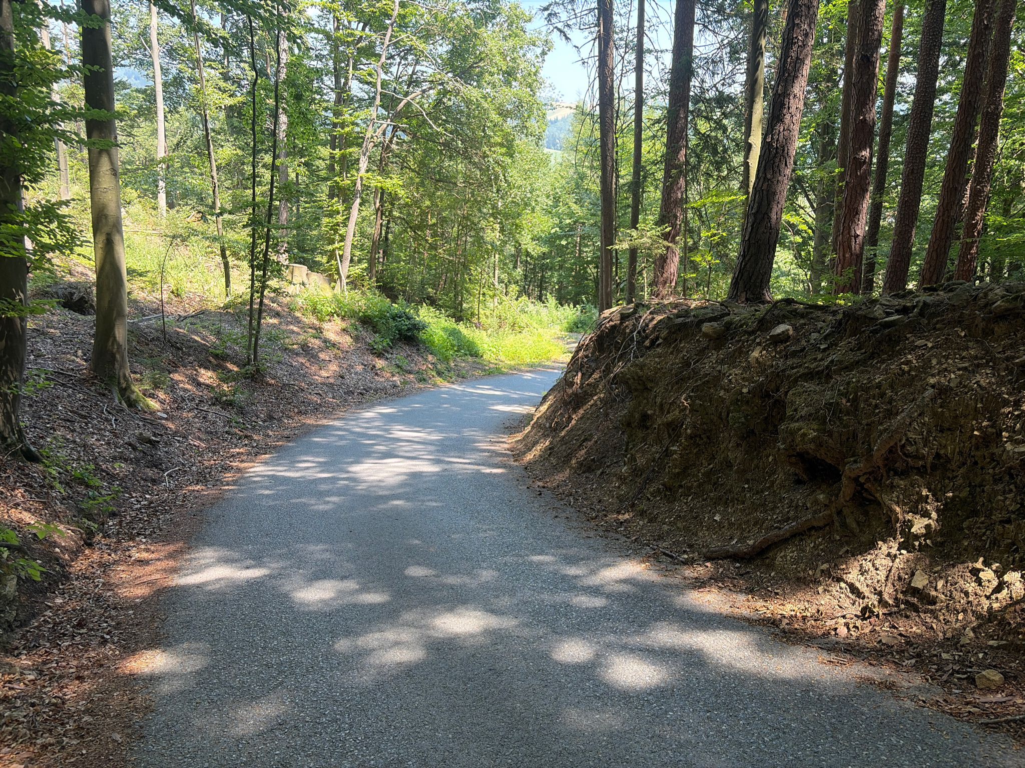 Hier geht's am Gregerbauerweg steil bergab