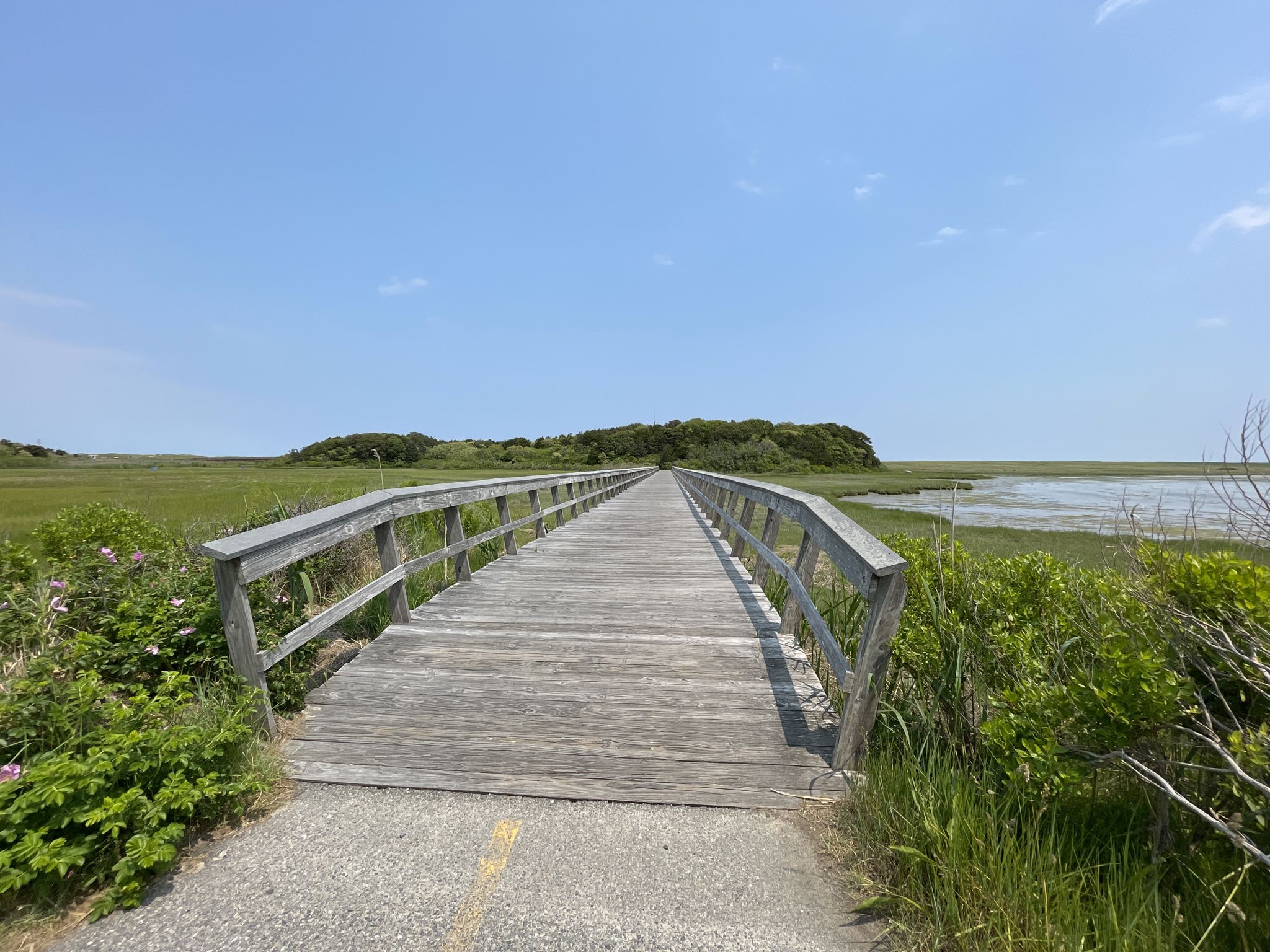 Wooden boardwalk extends over a sunny green marsh towards distant trees. - Nauset Bicycle Trail – Nauset Marsh loop from Cape Cod National Seashore
