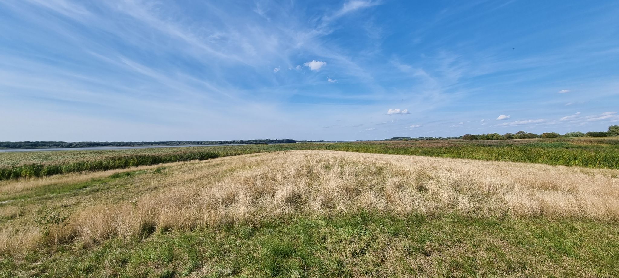 Pinnaumündung