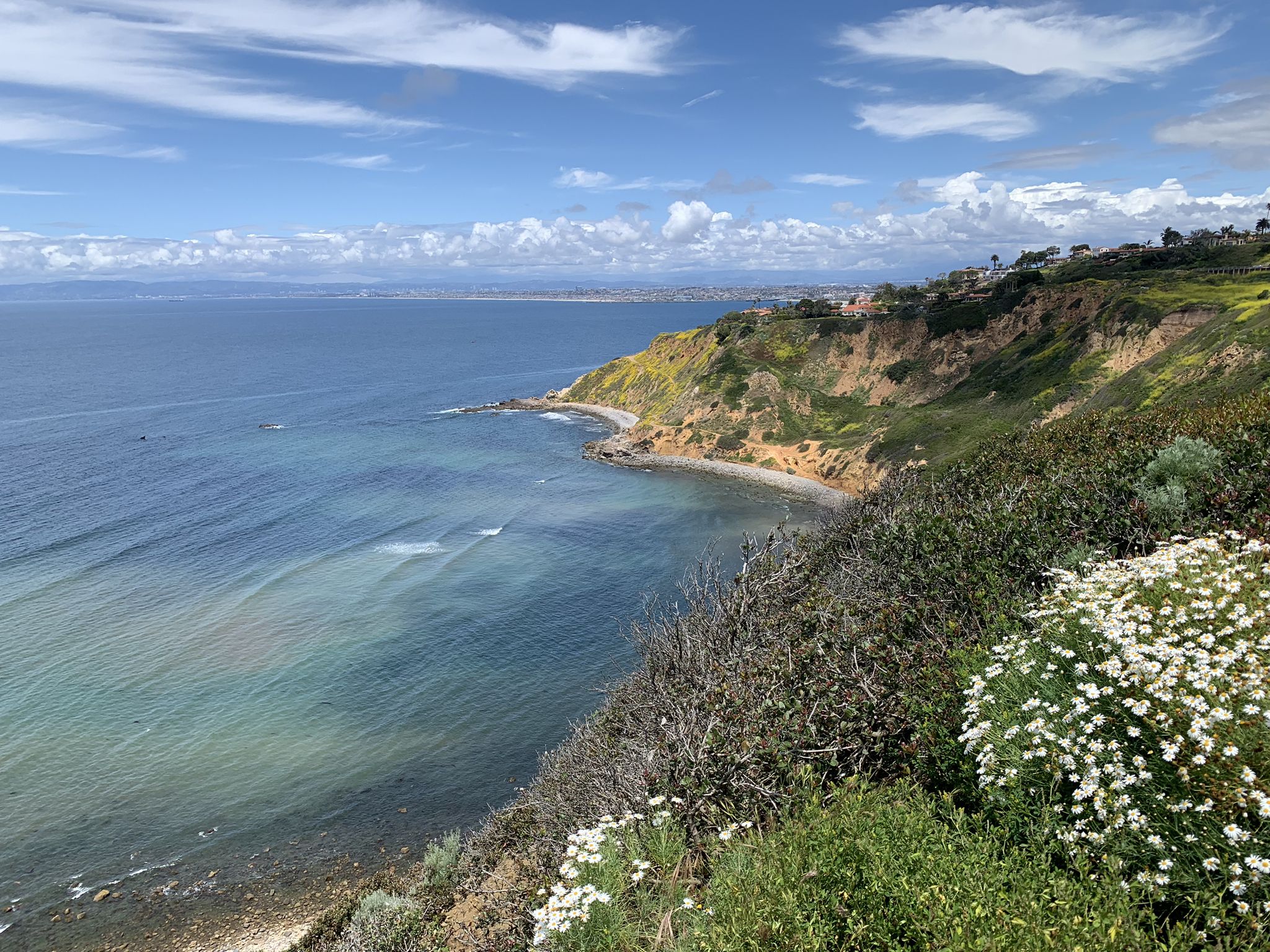 Coastal cliffside with blue ocean, white flowers, and a partly cloudy sky. - Palos Verdes Drive Loop