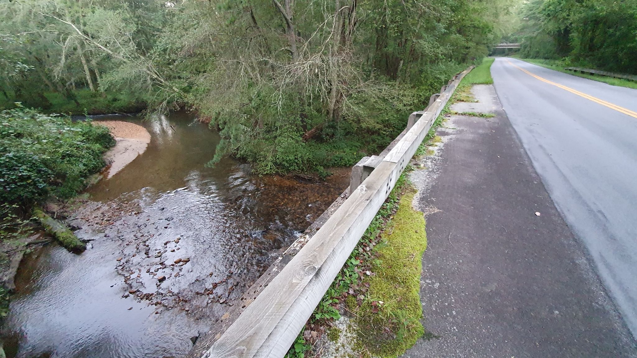 A stream flows beside a paved road with a wooden guardrail under overcast skies. - Stone Mountain Overlook to Granite Quarry Overlook