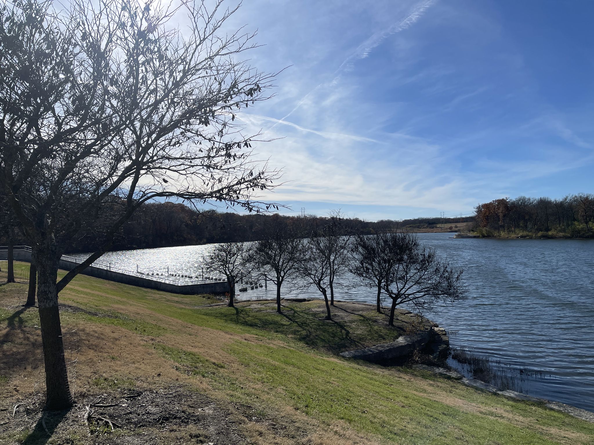 Sunny view of a lake with bare trees and a grassy bank. - Lake Lenexa Loop Trail