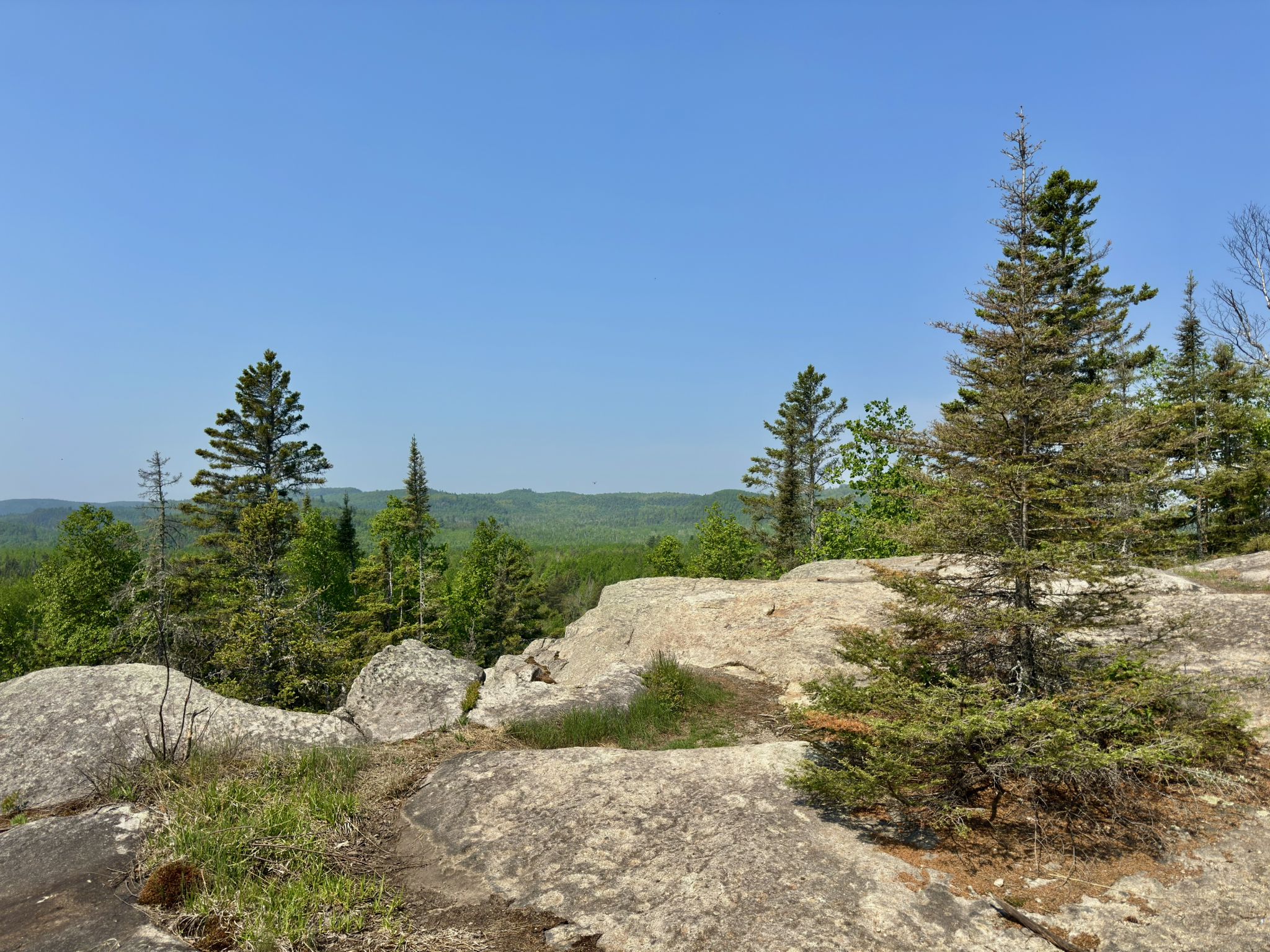 Sunny view from rocky outcrop over vast green forest under blue sky. - High Falls and Two Step Falls via Superior Hiking Trail