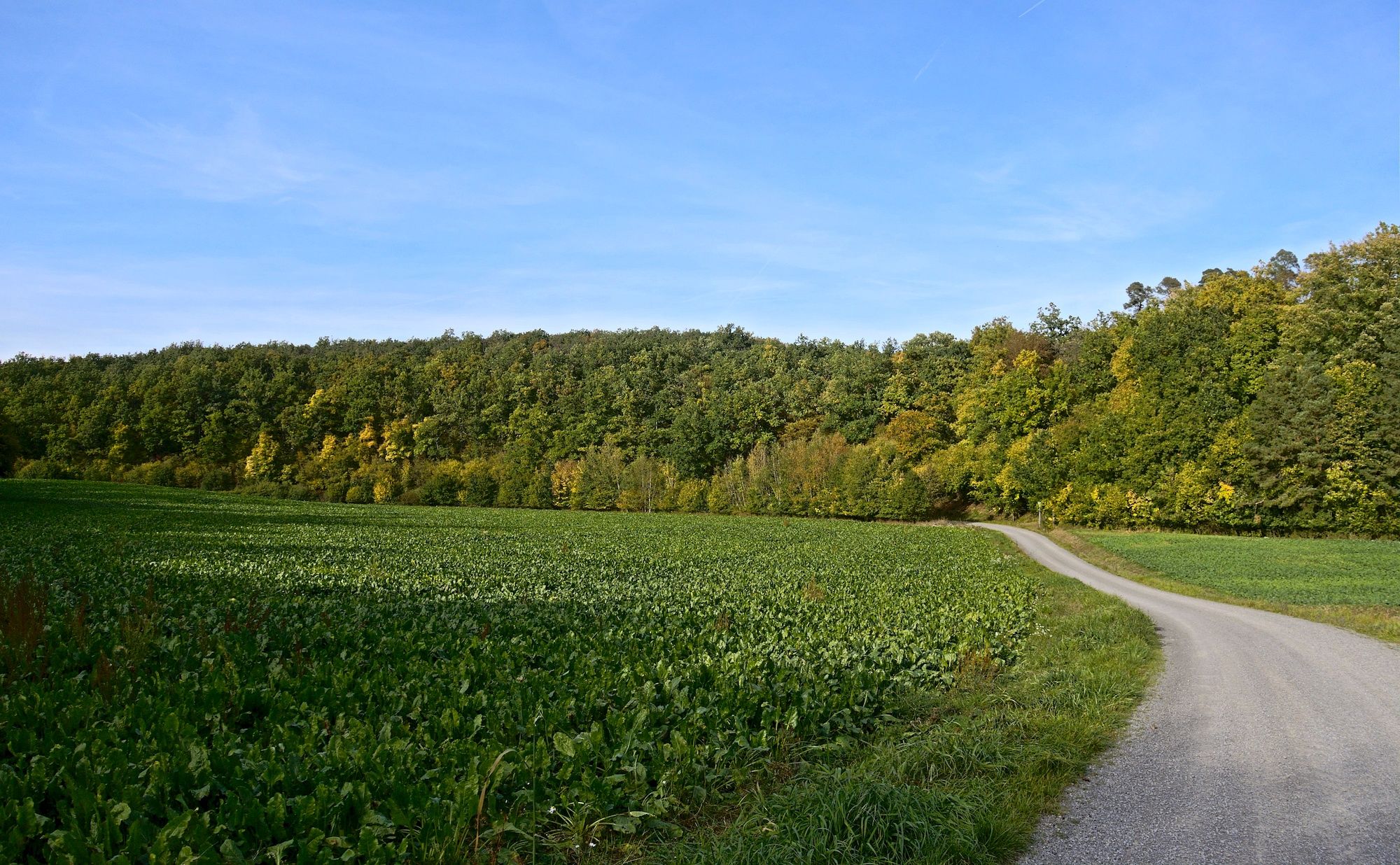 Blick zurück am Ende des Tals