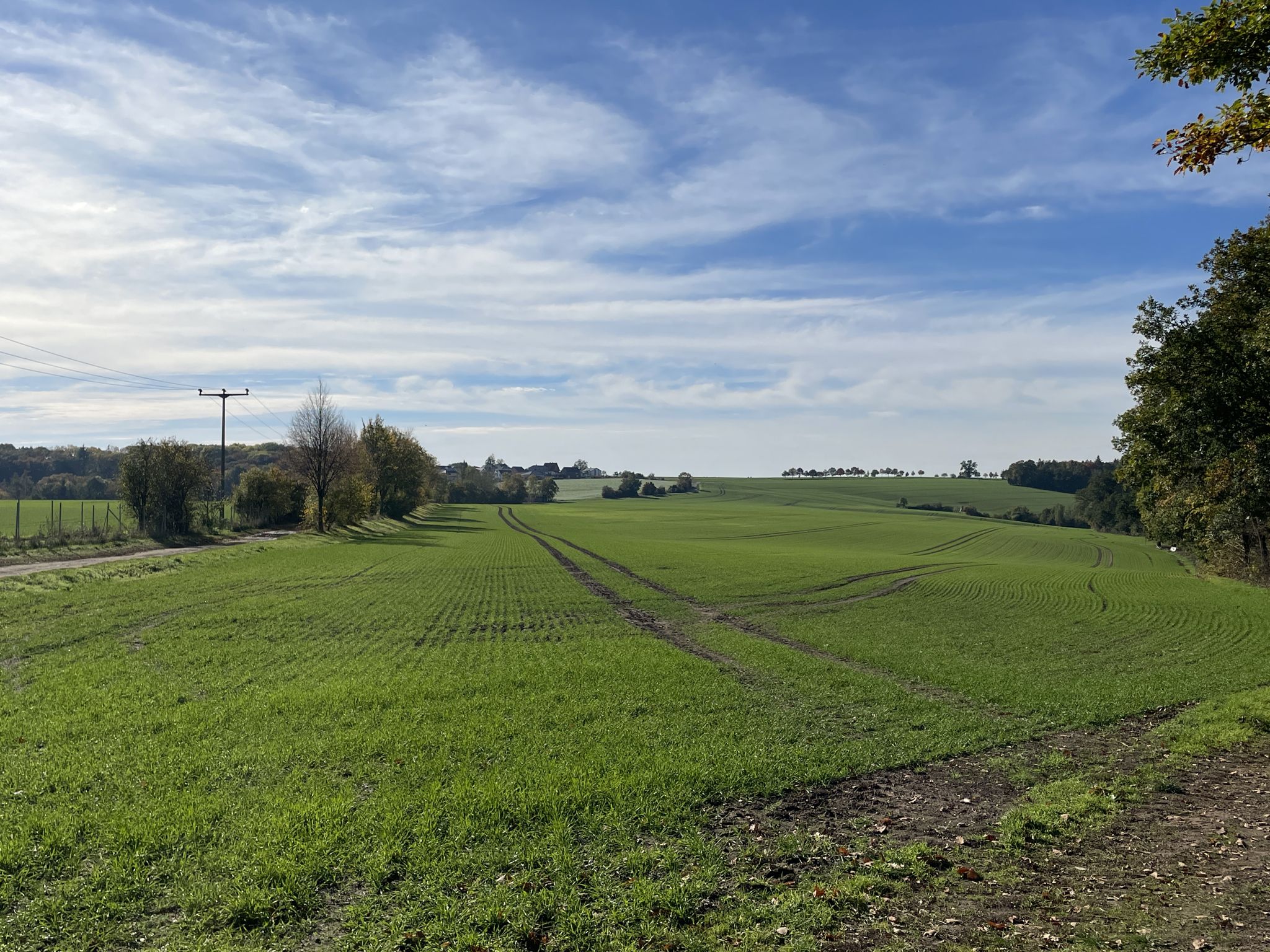 Blickrichtung Ernsee und Kalte Eiche