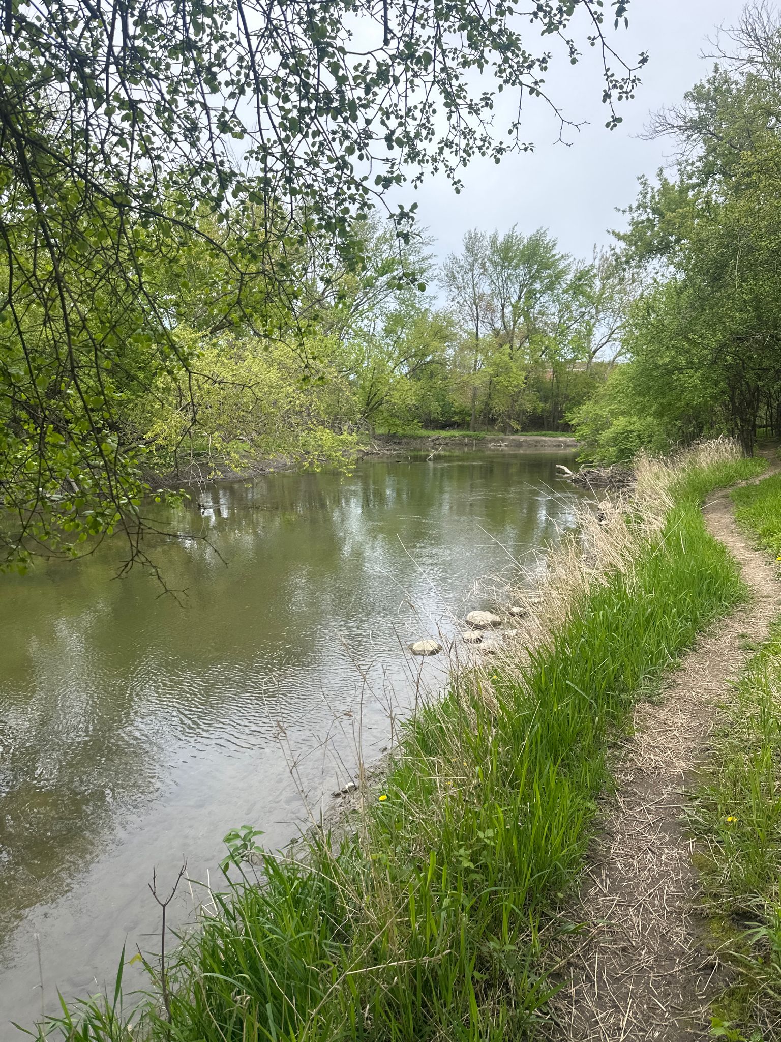 Calm river with a grassy bank and dirt path, surrounded by green trees. - Salt Creek and Des Plaines River Trail Loop