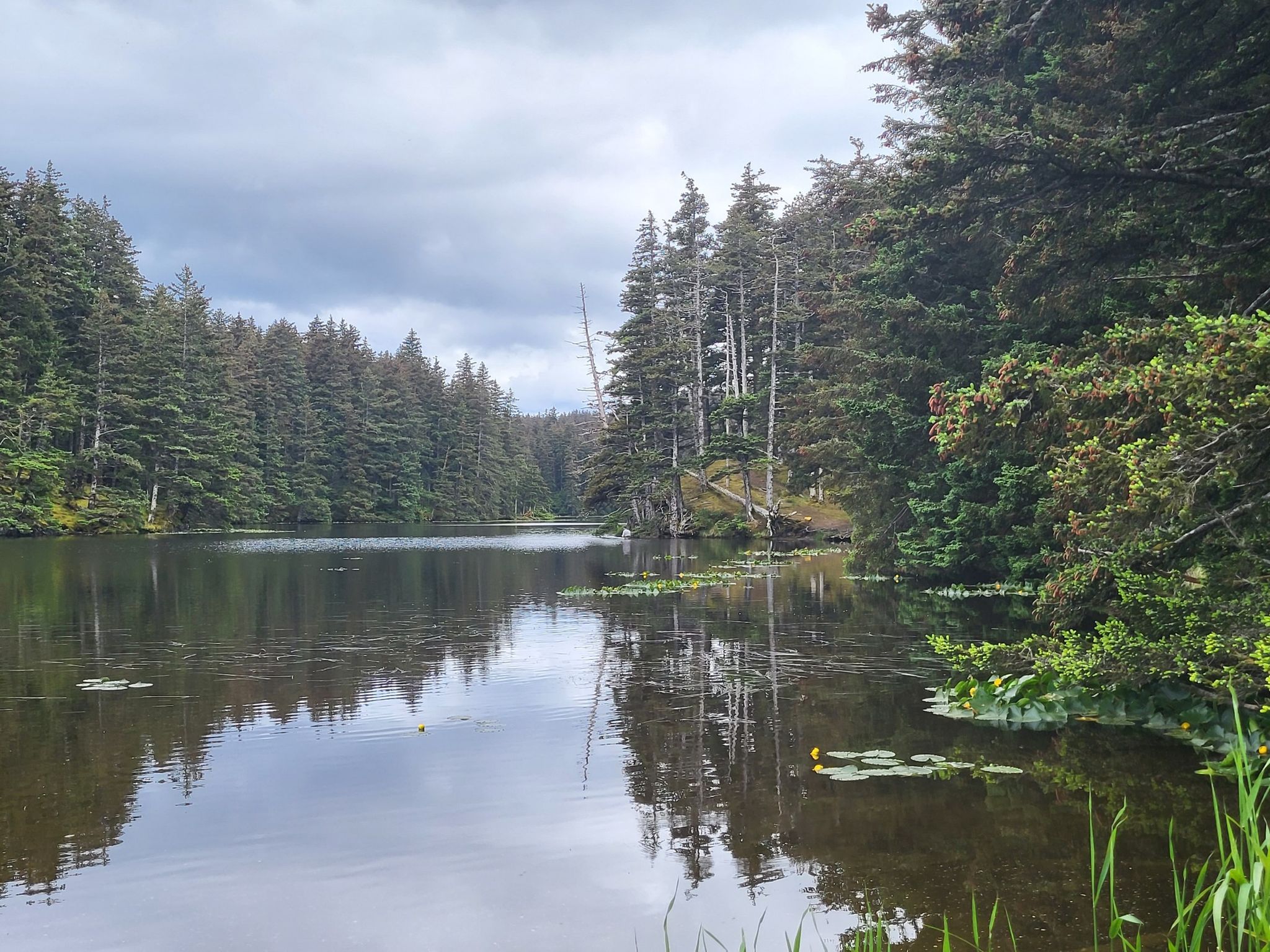 Calm lake surrounded by dense evergreen forest under a cloudy sky. - Fort Abercrombie Cliffs Loop