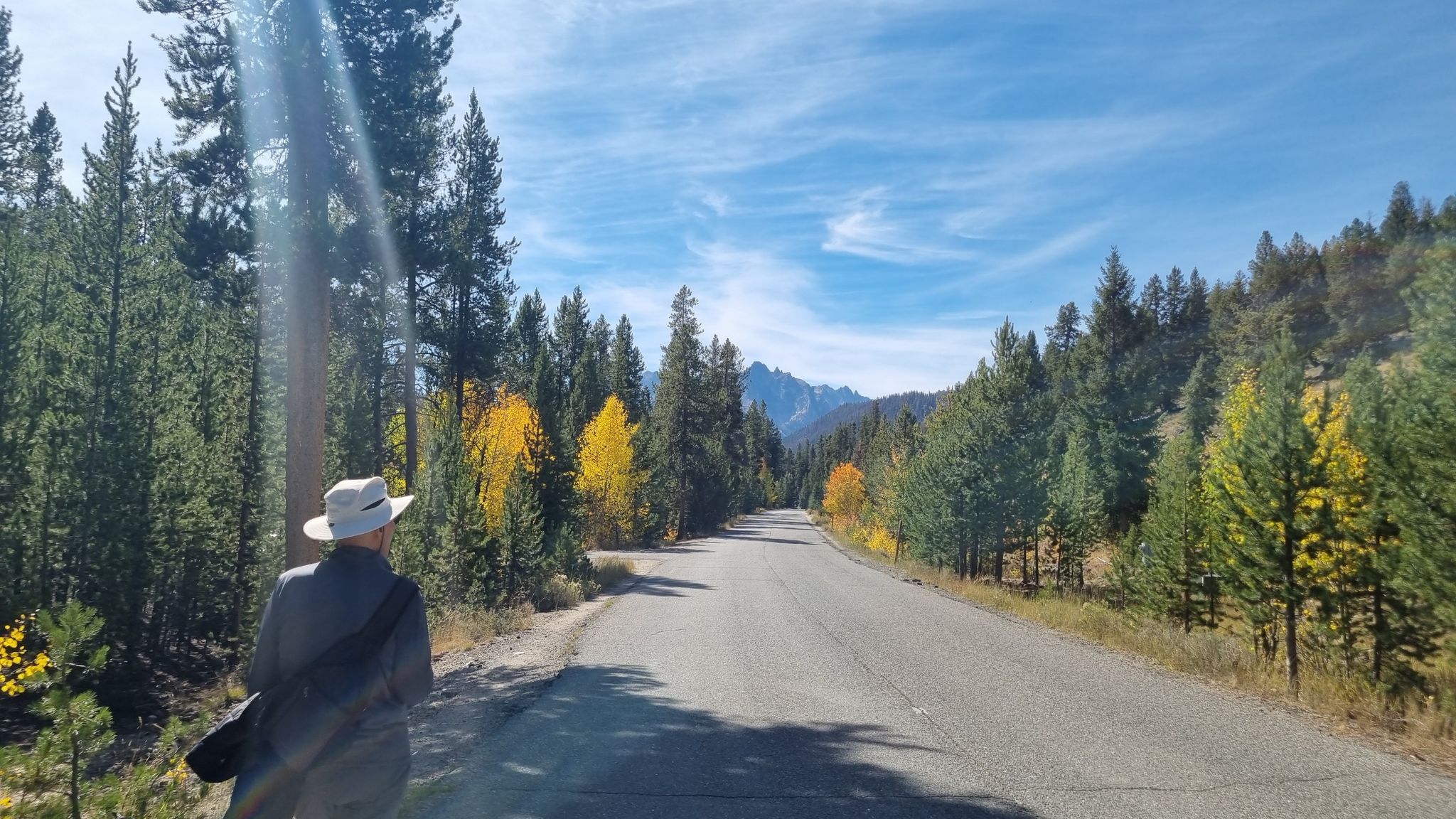 Person in a hat walks on a road through a sunny autumn forest. - Little Redfish Lake – Redfish Lake Marina loop from Redfish Lake Creek