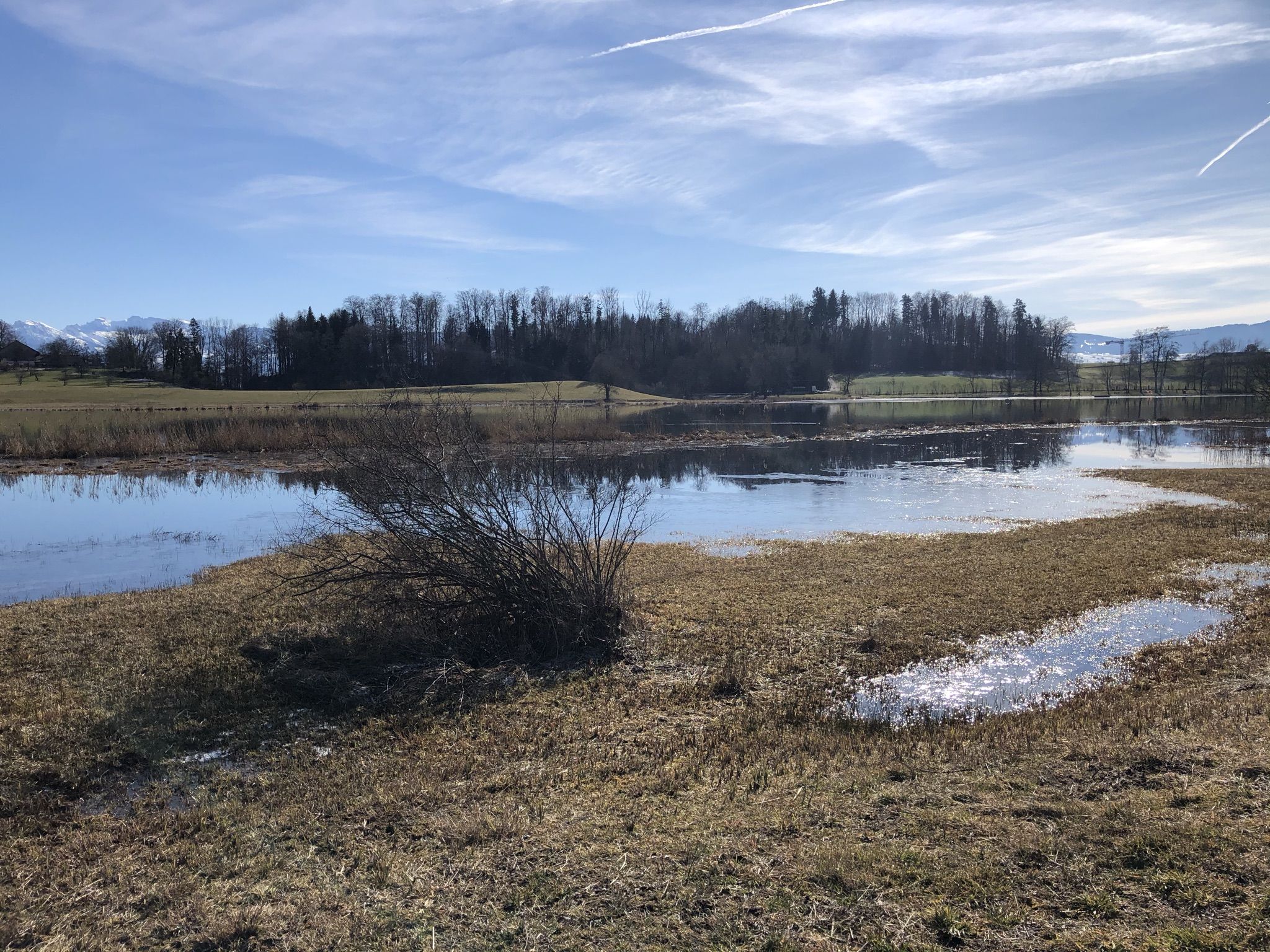 Lützelsee
