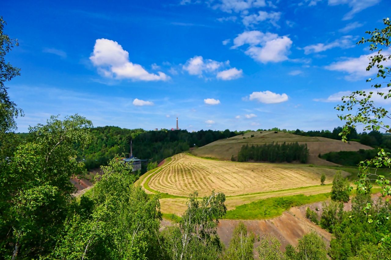 Haldenlandschaft zwischen Muldenhütten und Hilbersdorf
