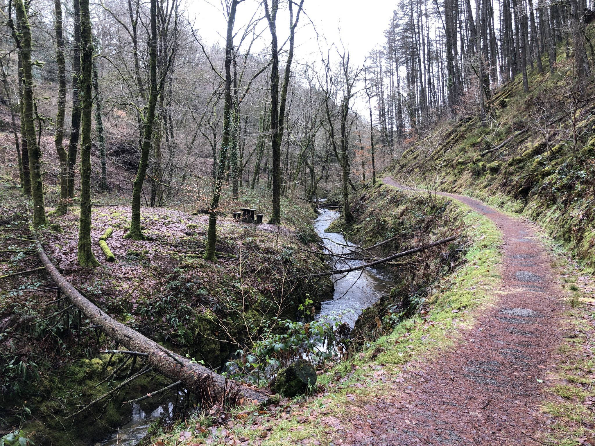 Great place to have a picnic and enjoy the view of the river and variety or trees