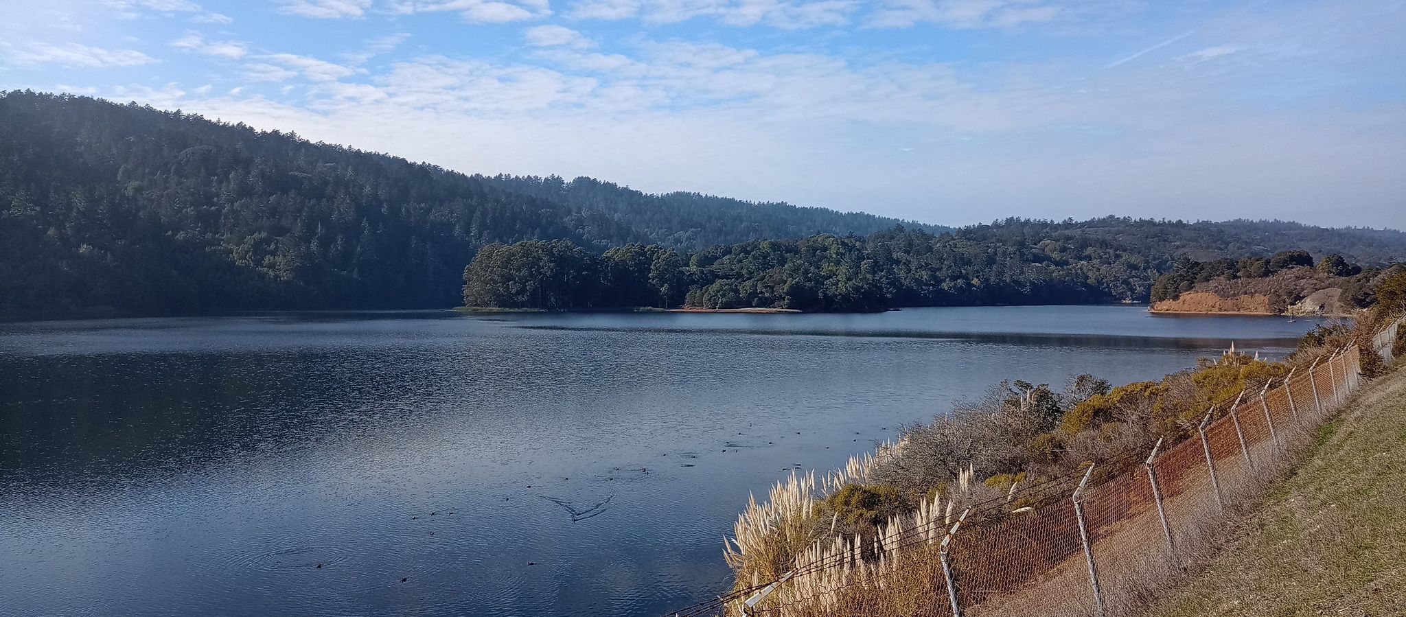 Calm lake reflecting cloudy sky, surrounded by dense green forested hills. - Sawyer Camp Trail