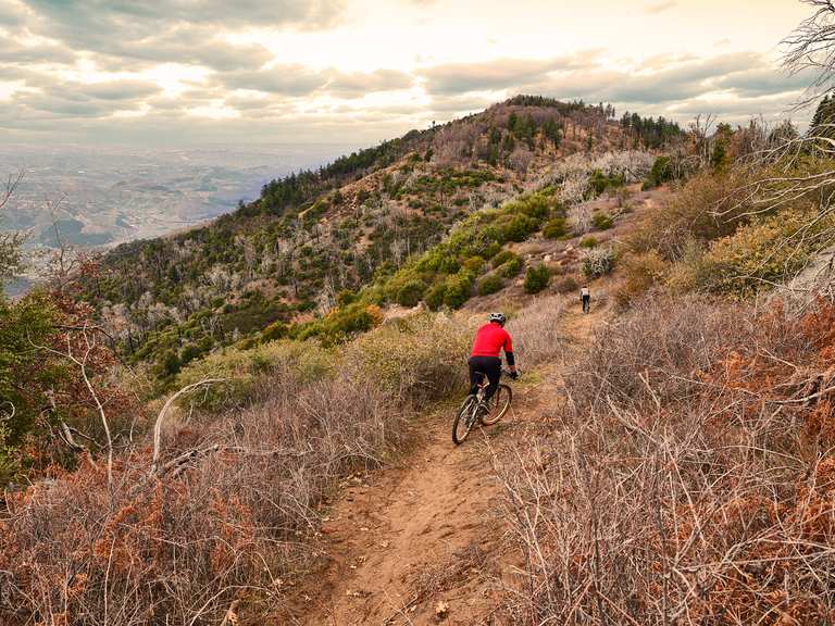 Best Fall Foliage Bike Rides Komoot