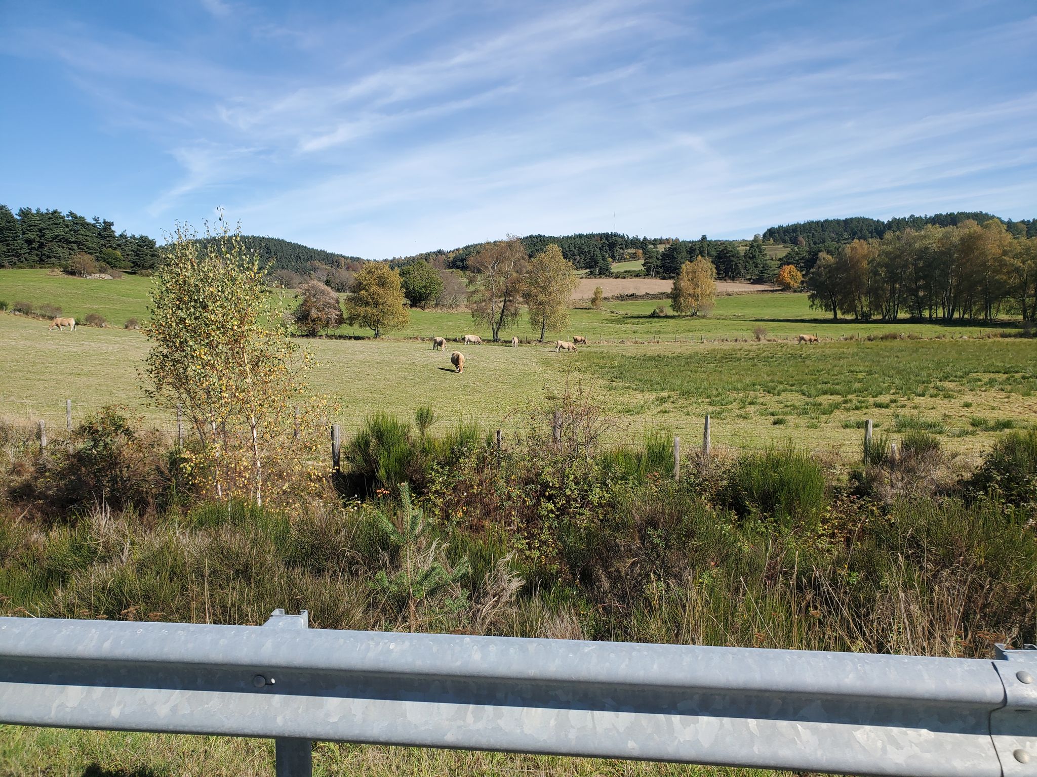 Sur la route du Can de la Roche (48)