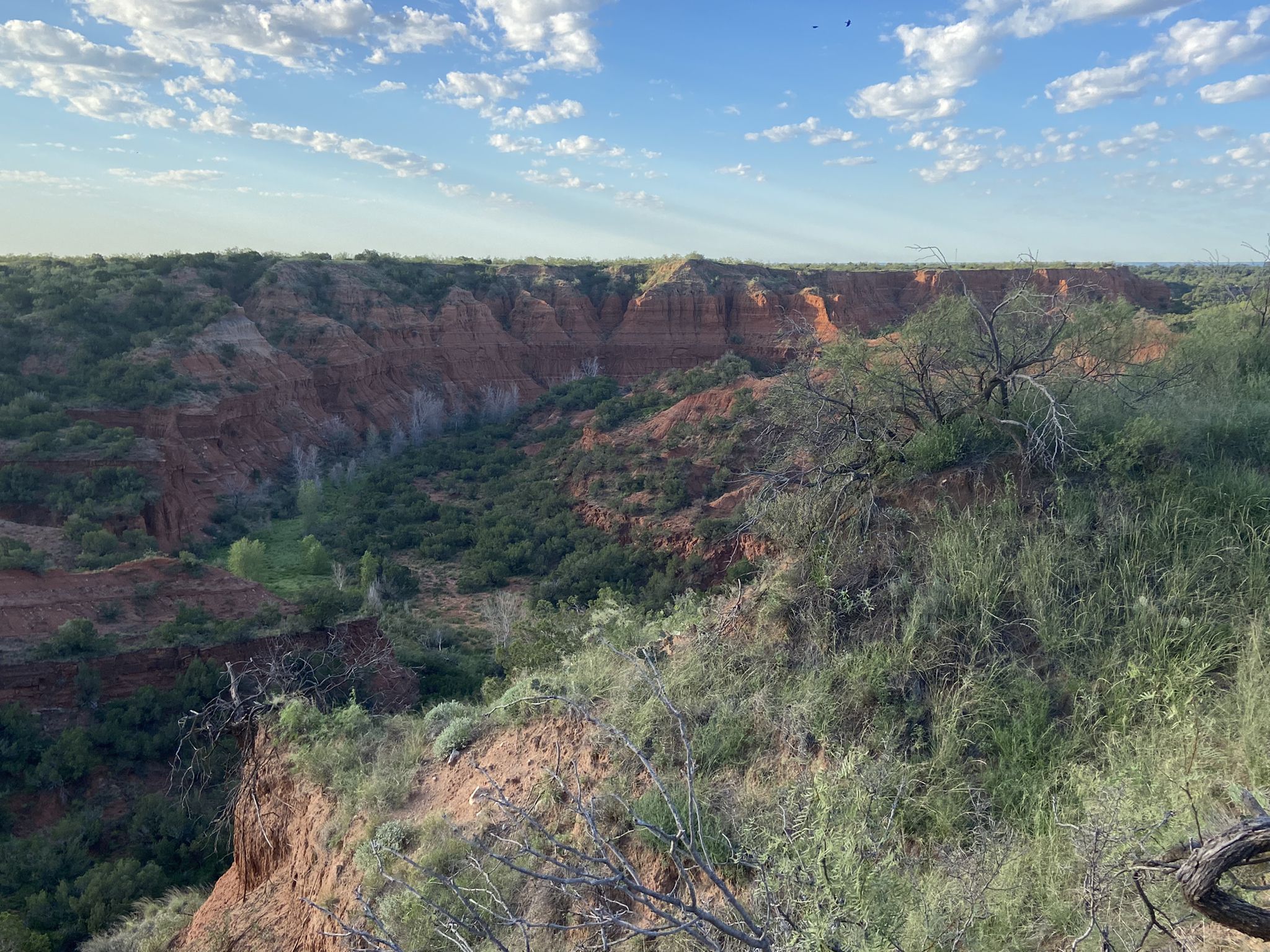 Vast red rock canyon with green vegetation under a bright, cloudy sky. - Canyon Rim Trail Loop
