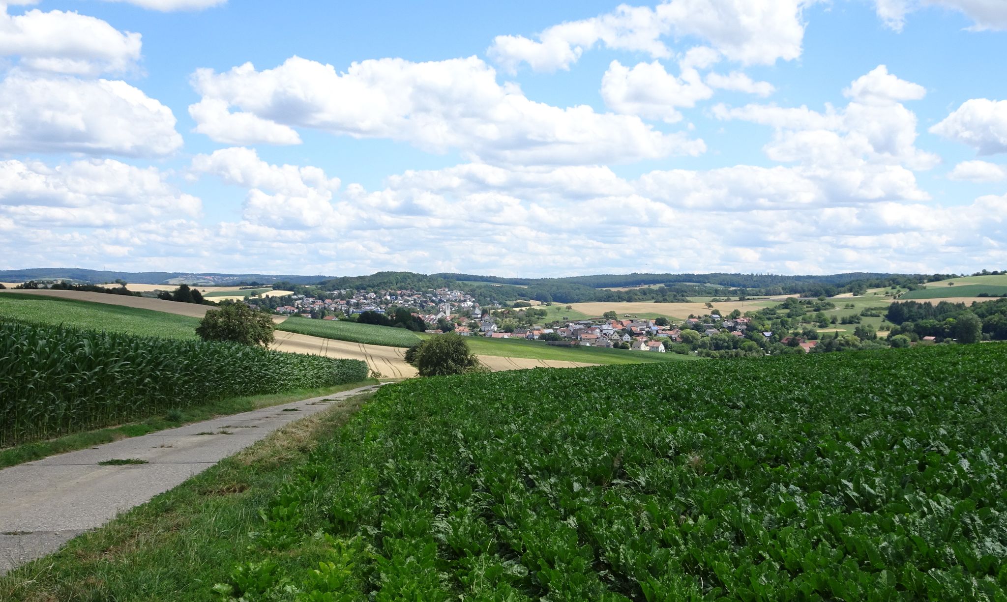 Neckarbischofsheim