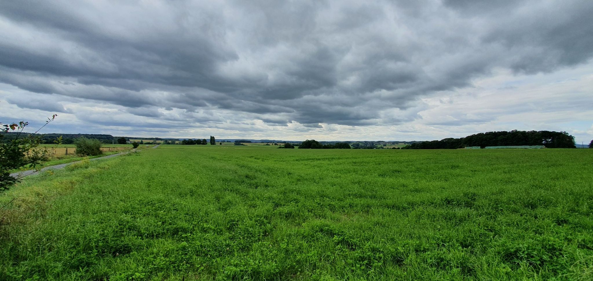 Blick ins Asbacher Land 