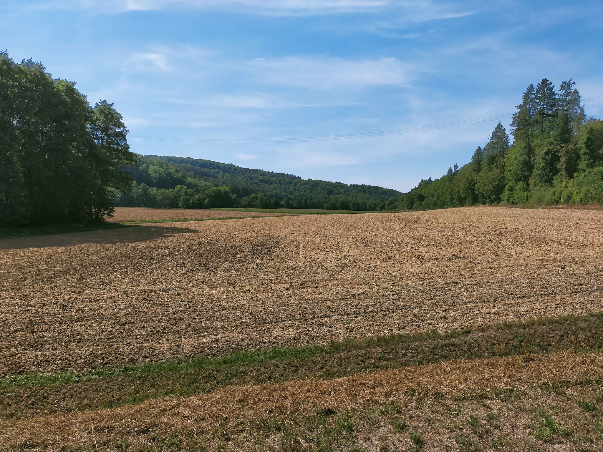 Tal der Seckach