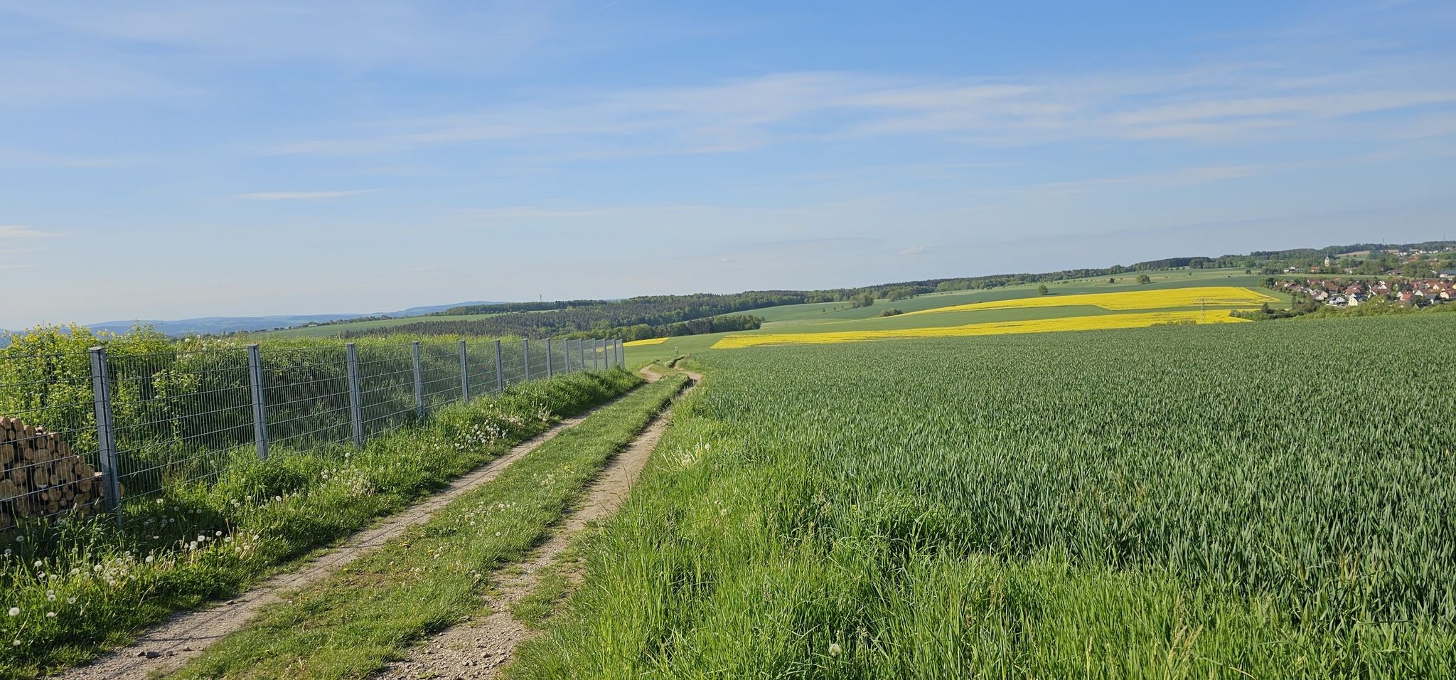 Blick in die Ferne