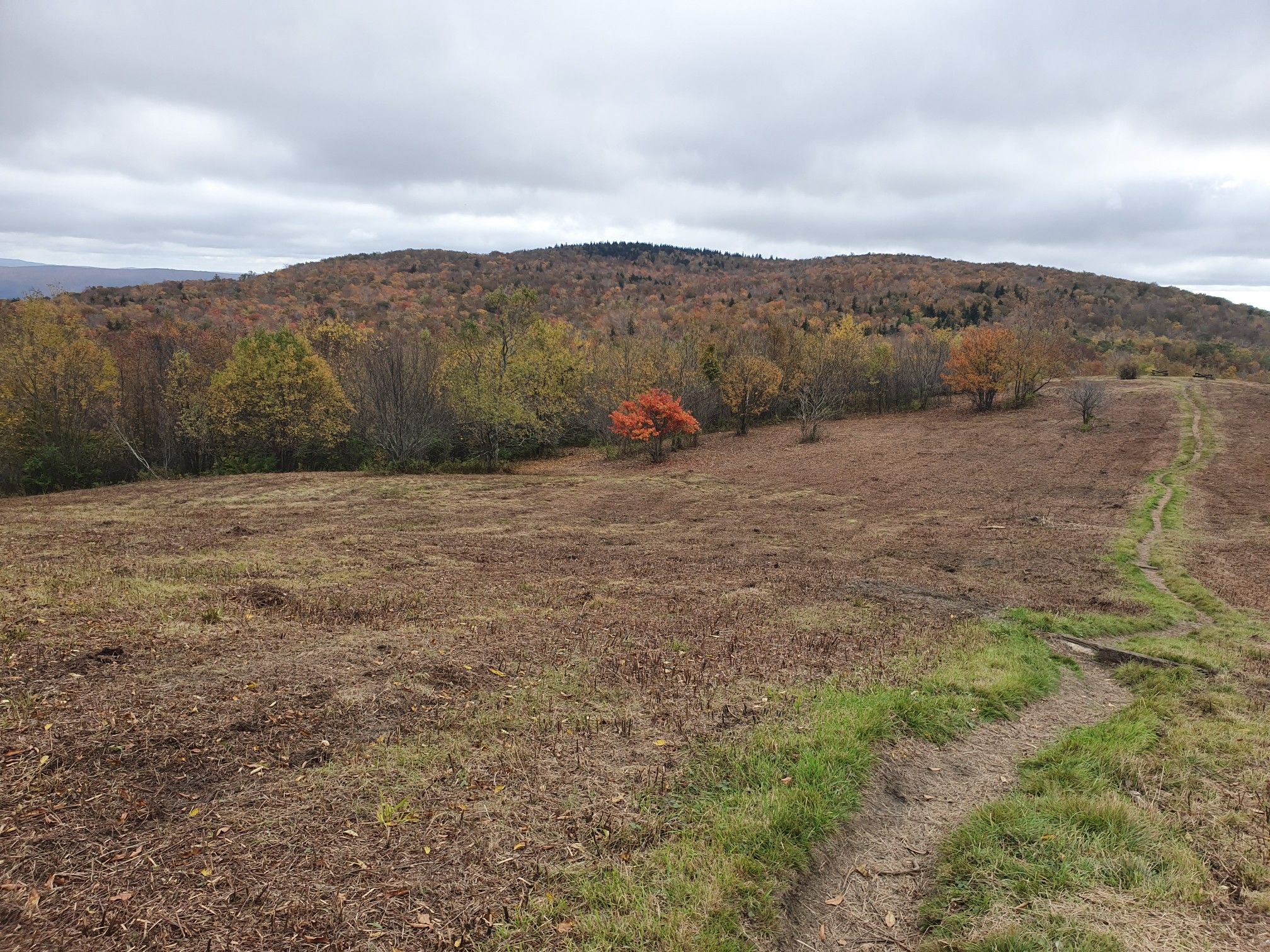 A path through a brown field leading to autumn-colored hills under cloudy skies. - Mount Greylock – Jones Nose loop from Adams