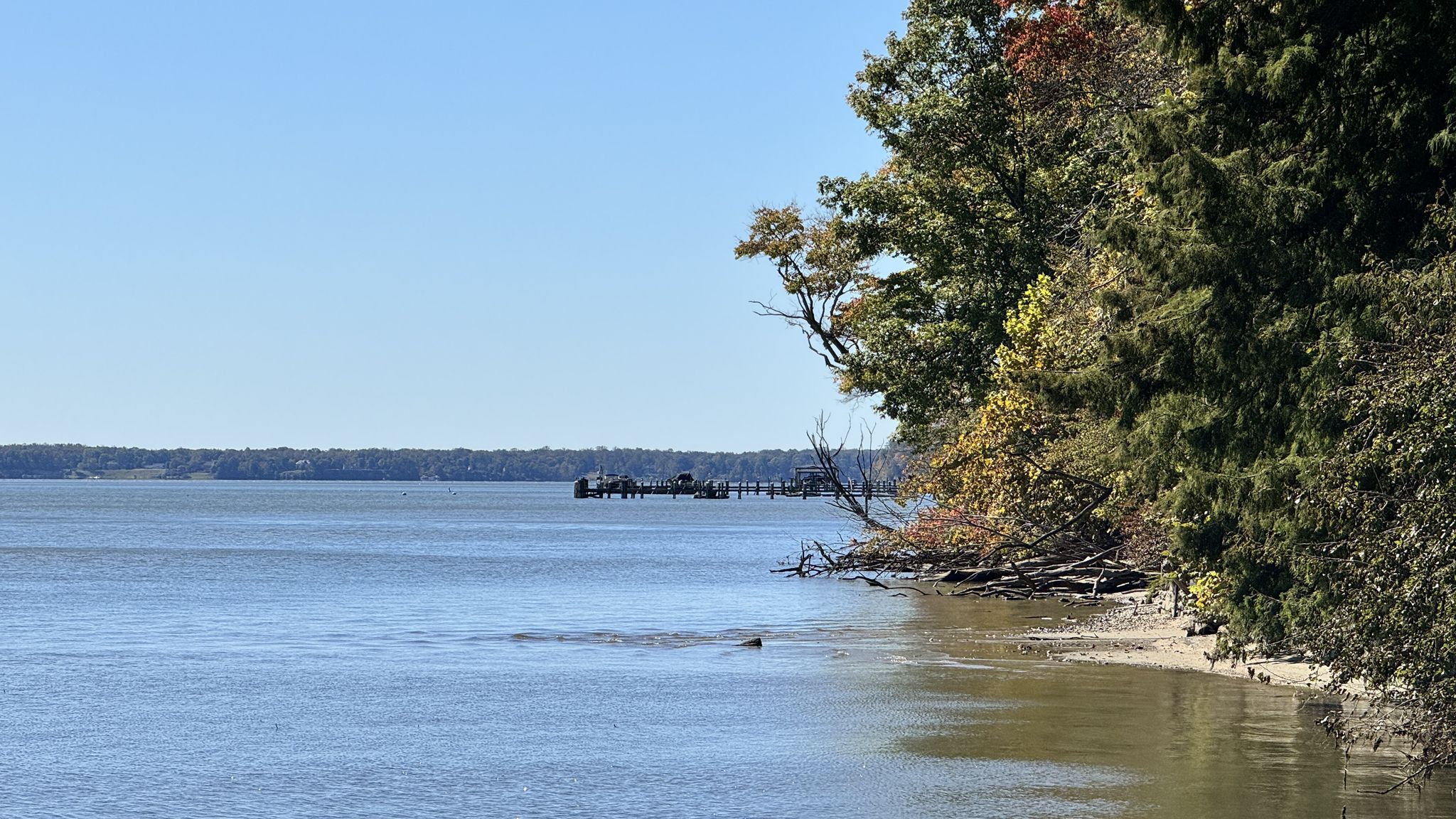 Wide river with distant shore, dense trees, and clear blue sky on a sunny day. - Mount Vernon Loop