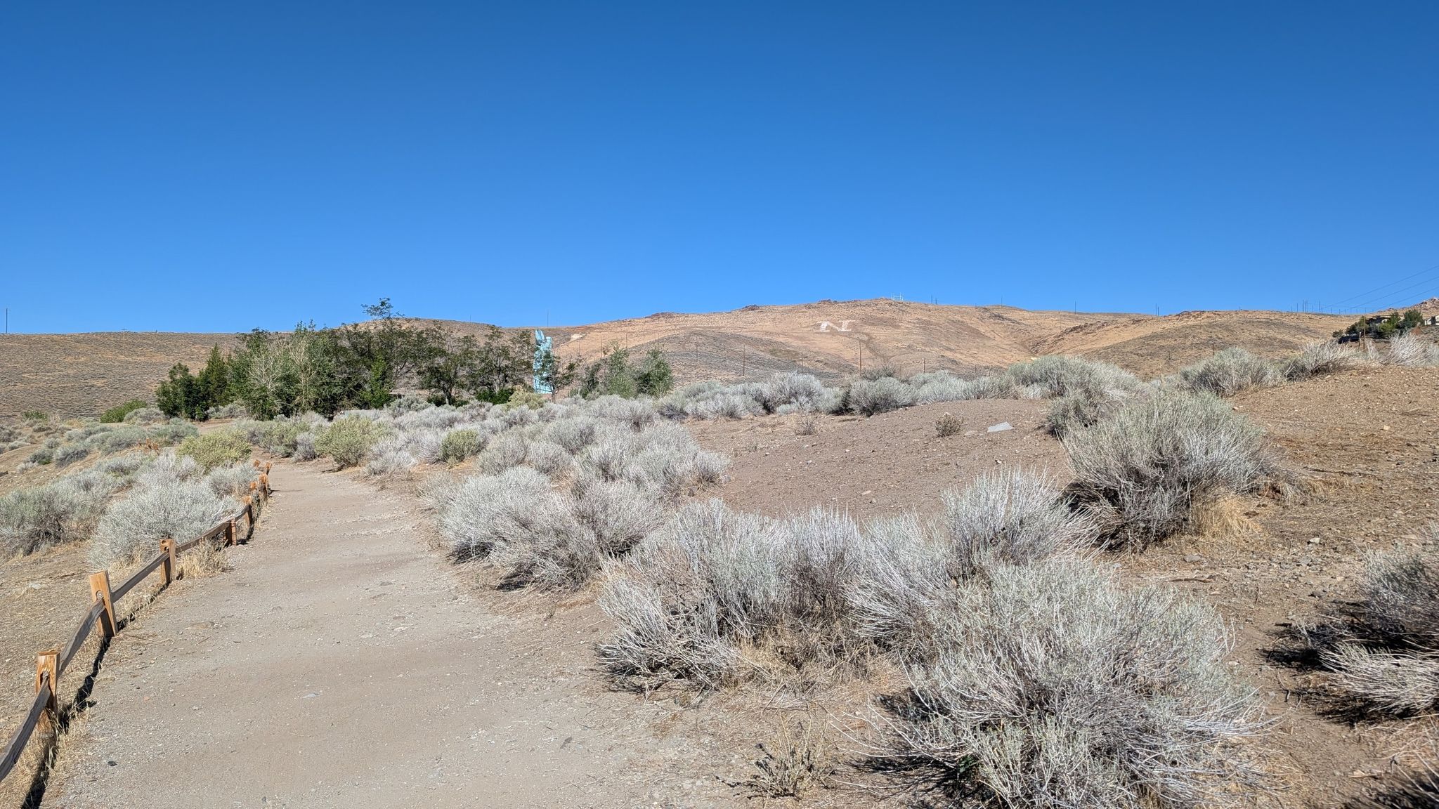 Dirt path winding through arid landscape with sagebrush under clear blue sky. - Rancho San Rafael Nature Trail