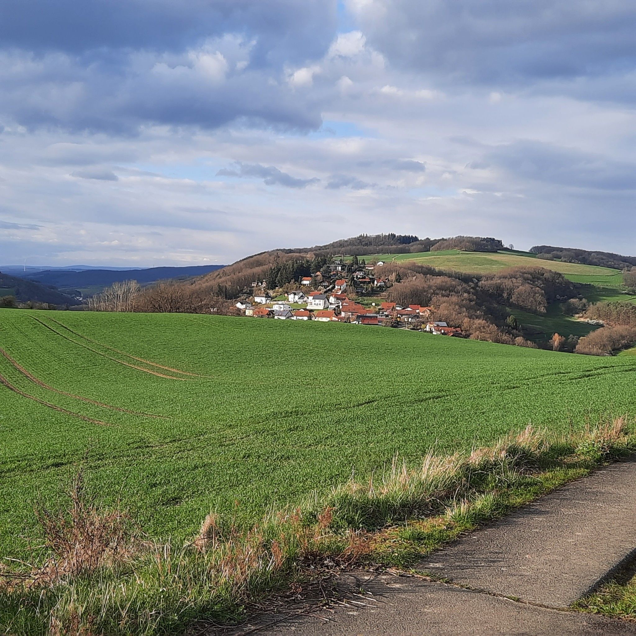 Odenberg/Niederkirchen