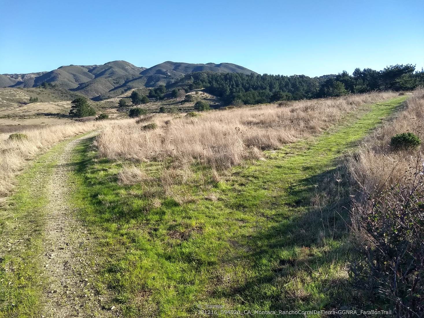 Two grassy paths diverging in a wide field with distant mountains under a clear sky. - Farallone Road and Old San Pedro Mountain Road Loop