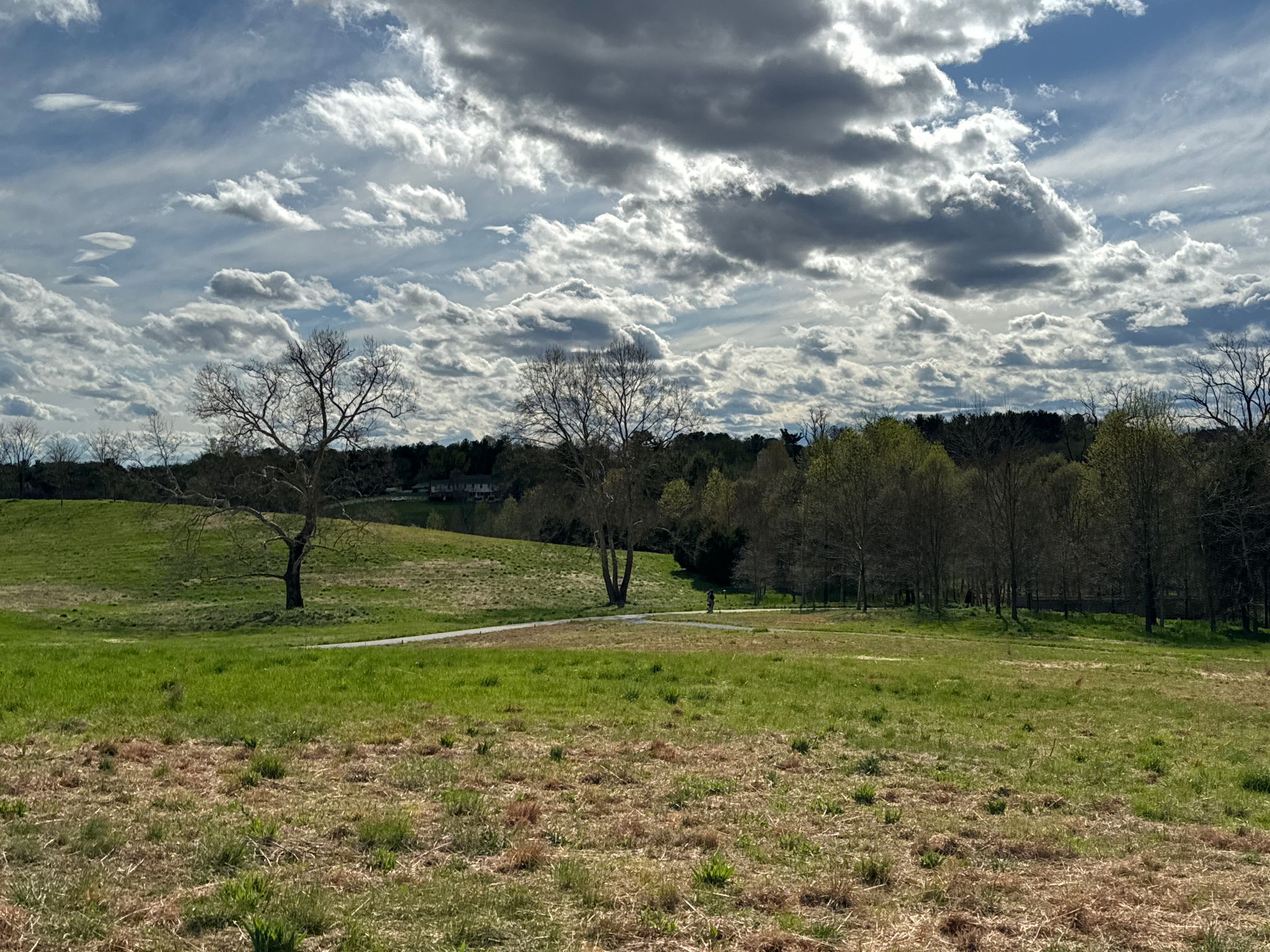 Grassy field with bare trees under a dramatic cloudy sky. - Glenstone Museum Woodland Trail