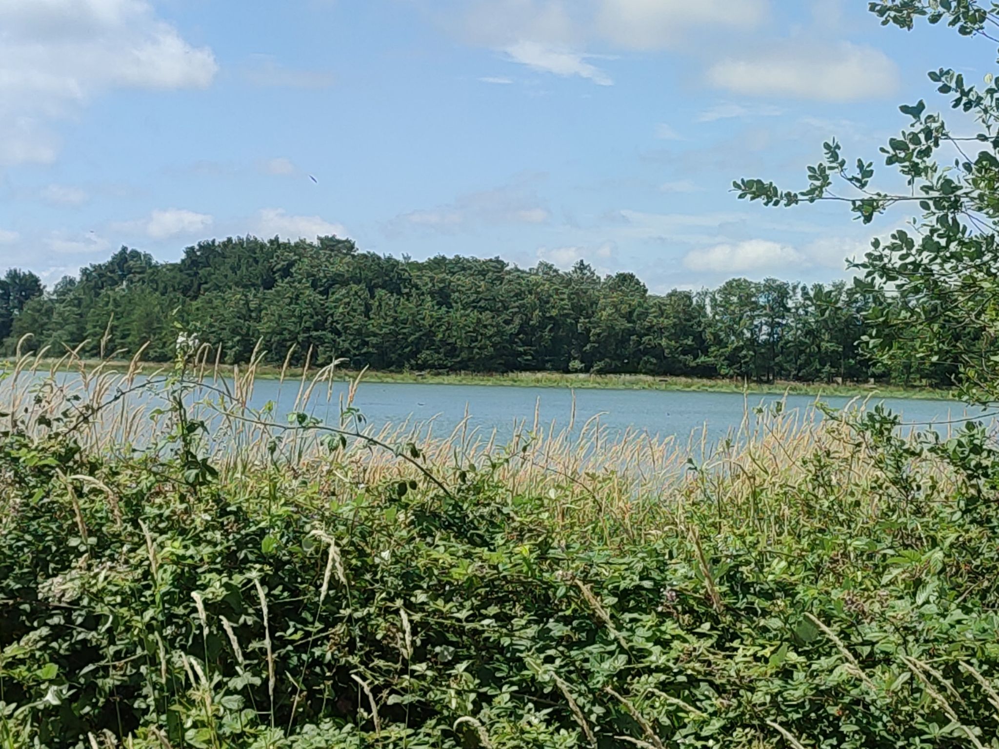 Teichblick
