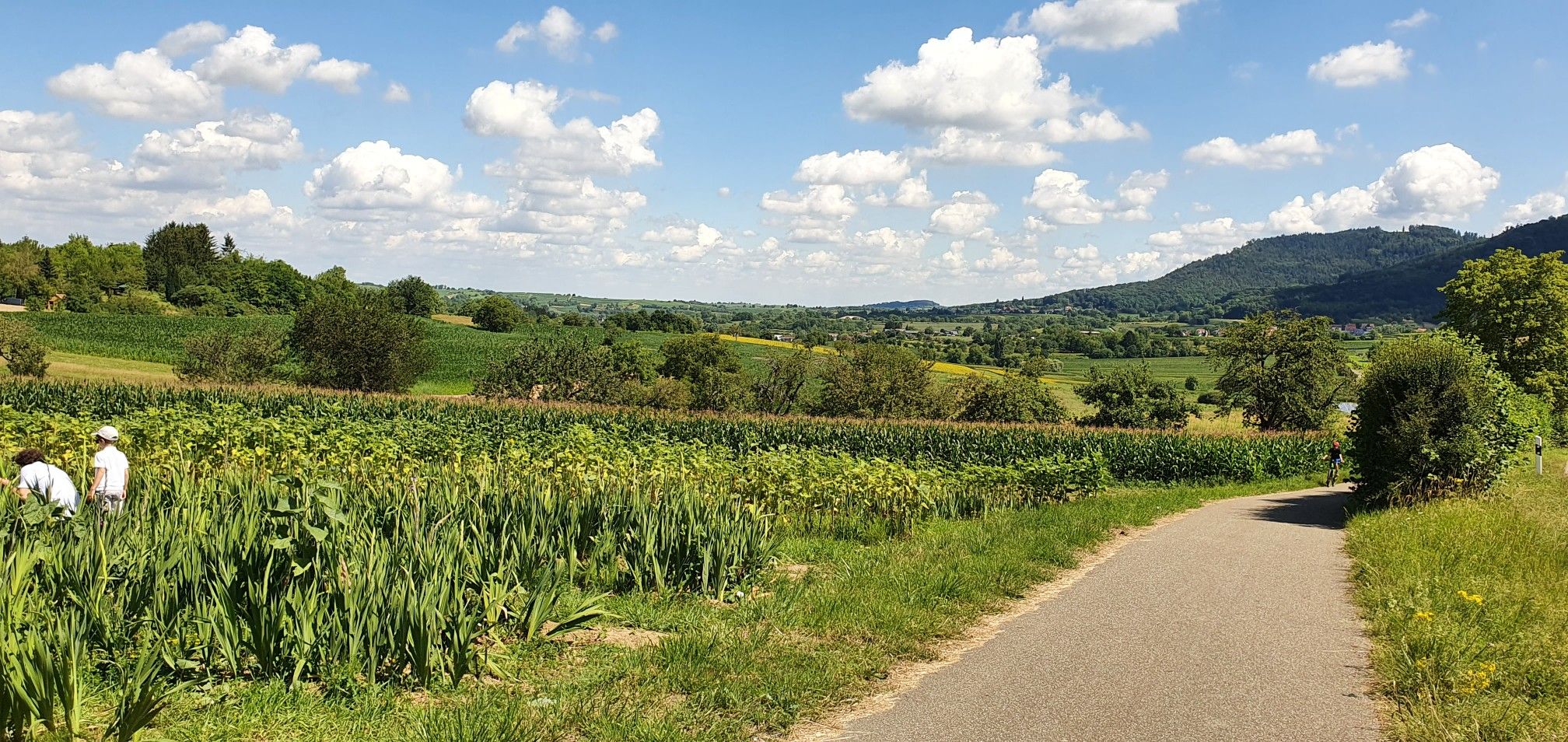 Vor Heiligenzell