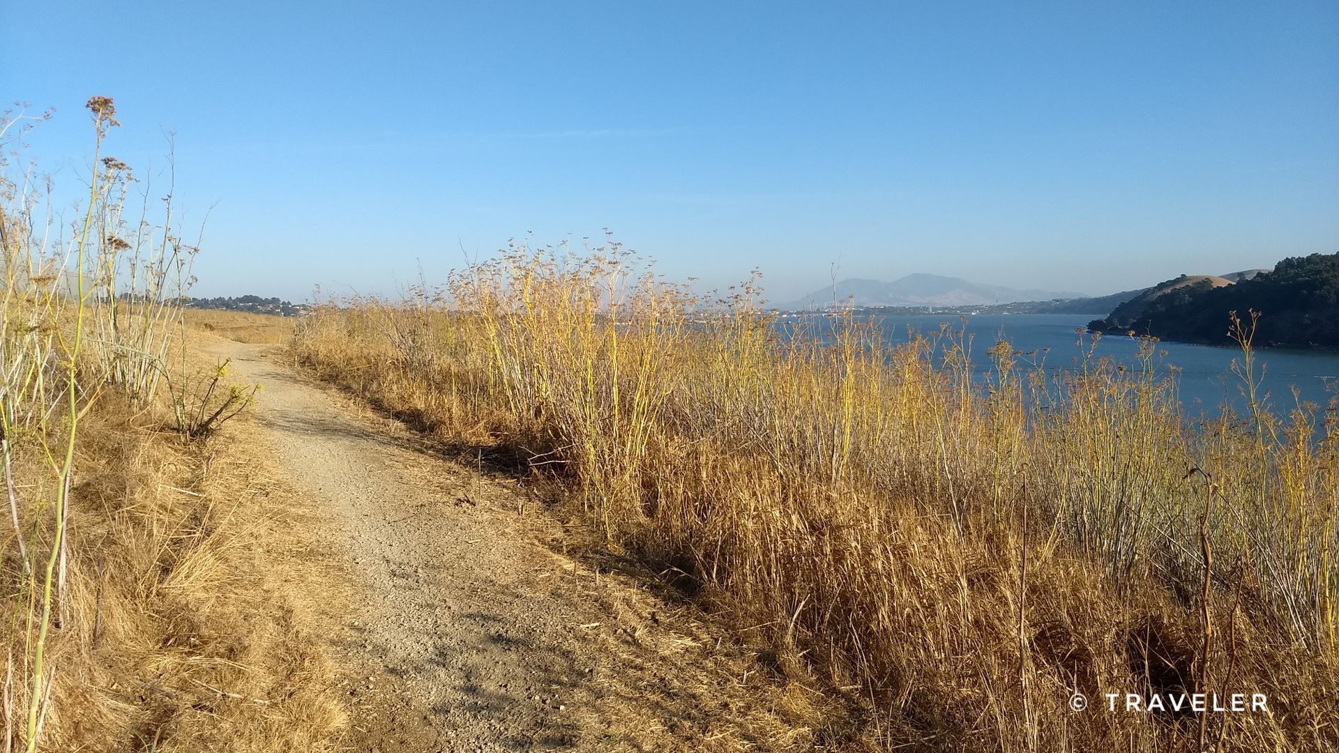 Dirt path through tall golden grass overlooking a large body of water. - Mike Taugher Trail – Carquinez Strait Trail loop from Benicia
