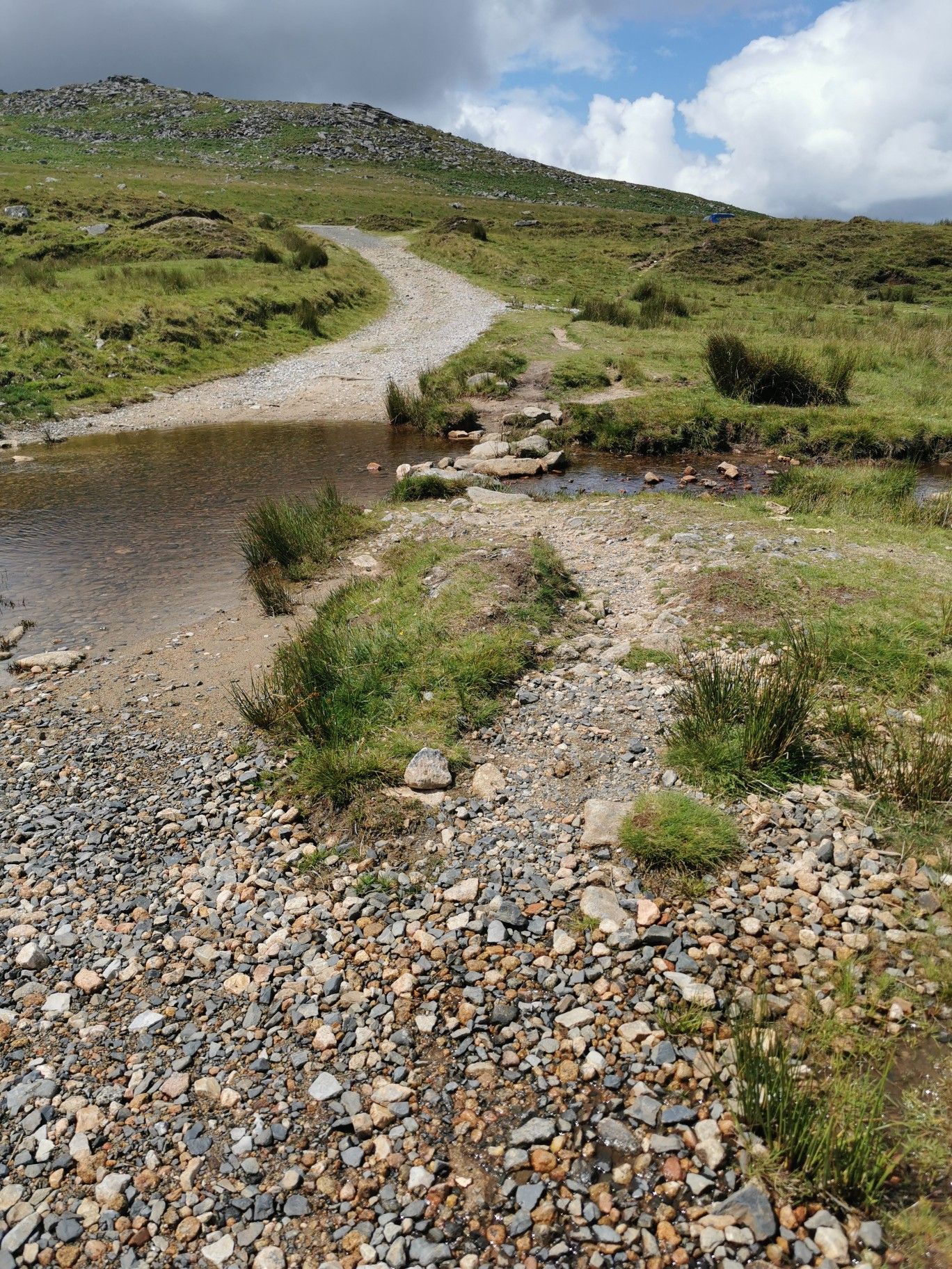 stepping stones 