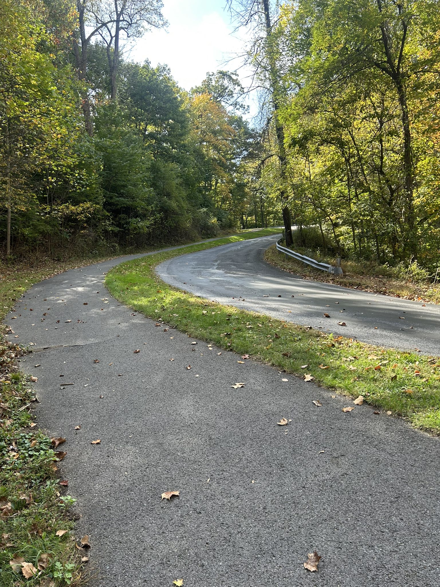 Winding paved and unpaved paths through a forest with green and autumn trees. - Fort Hunter Mansion and Park – Wildwood Park loop from Harrisburg Transportation Center