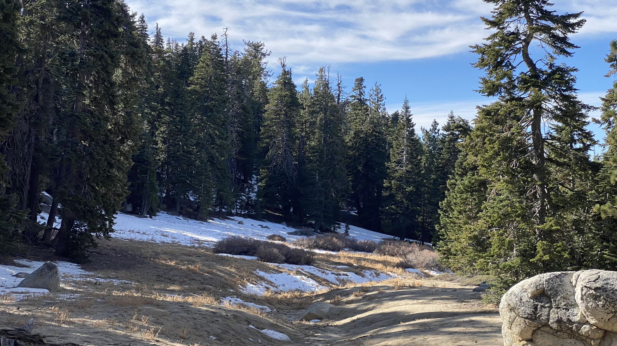 A dirt path winds through a snowy forest under a bright sky. - San Jacinto Peak via Marion Mountain Trail