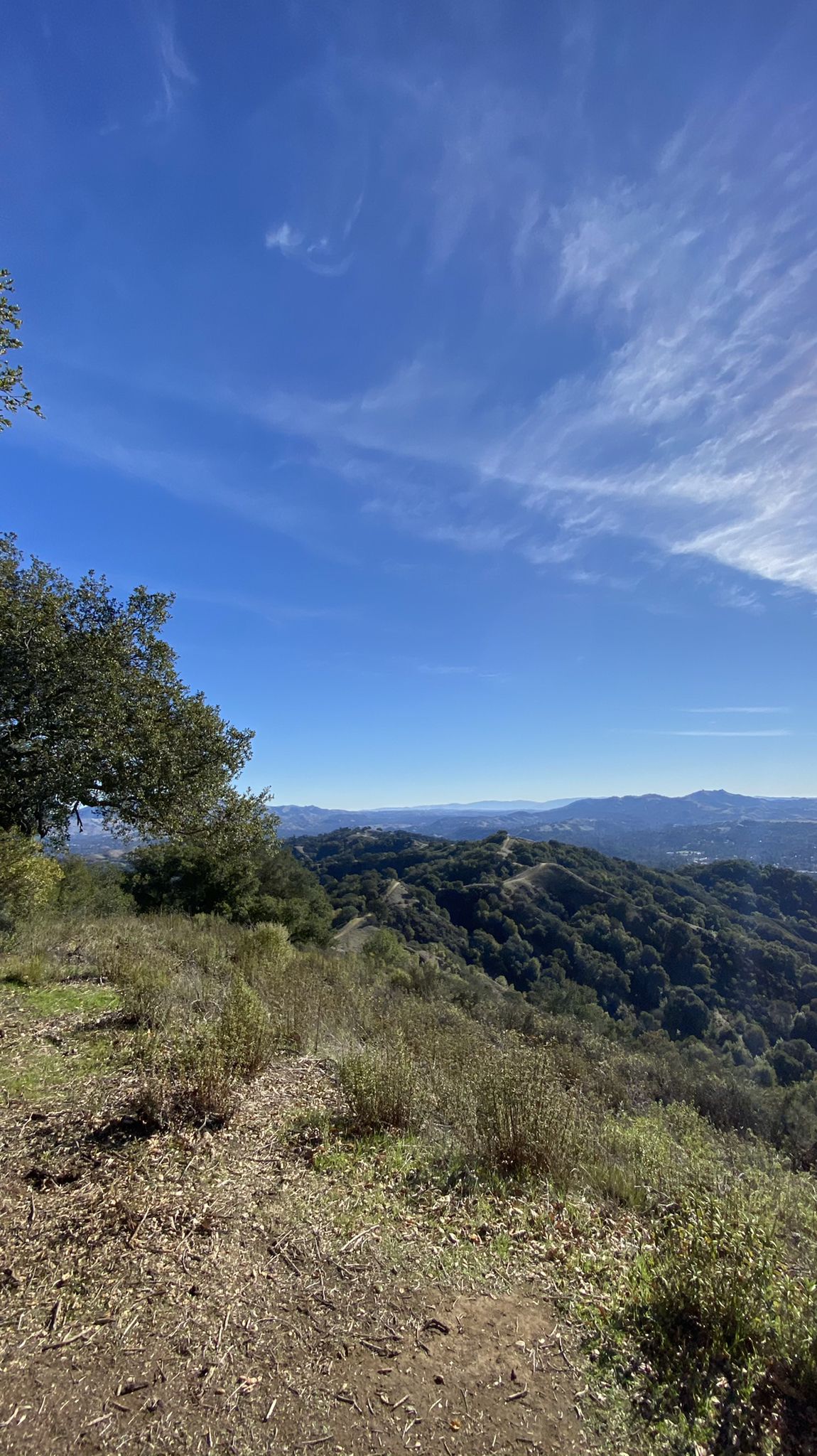 Panoramic view of green hills and valleys under a vast blue sky. - Russell Peak loop from Russell Research Station