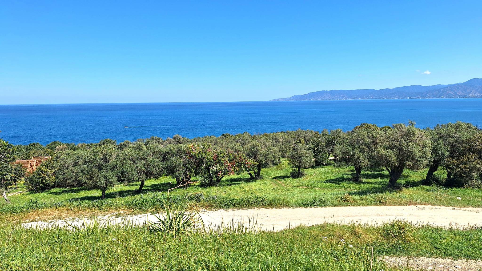 The Aphrodite Cultural Exchange Ride