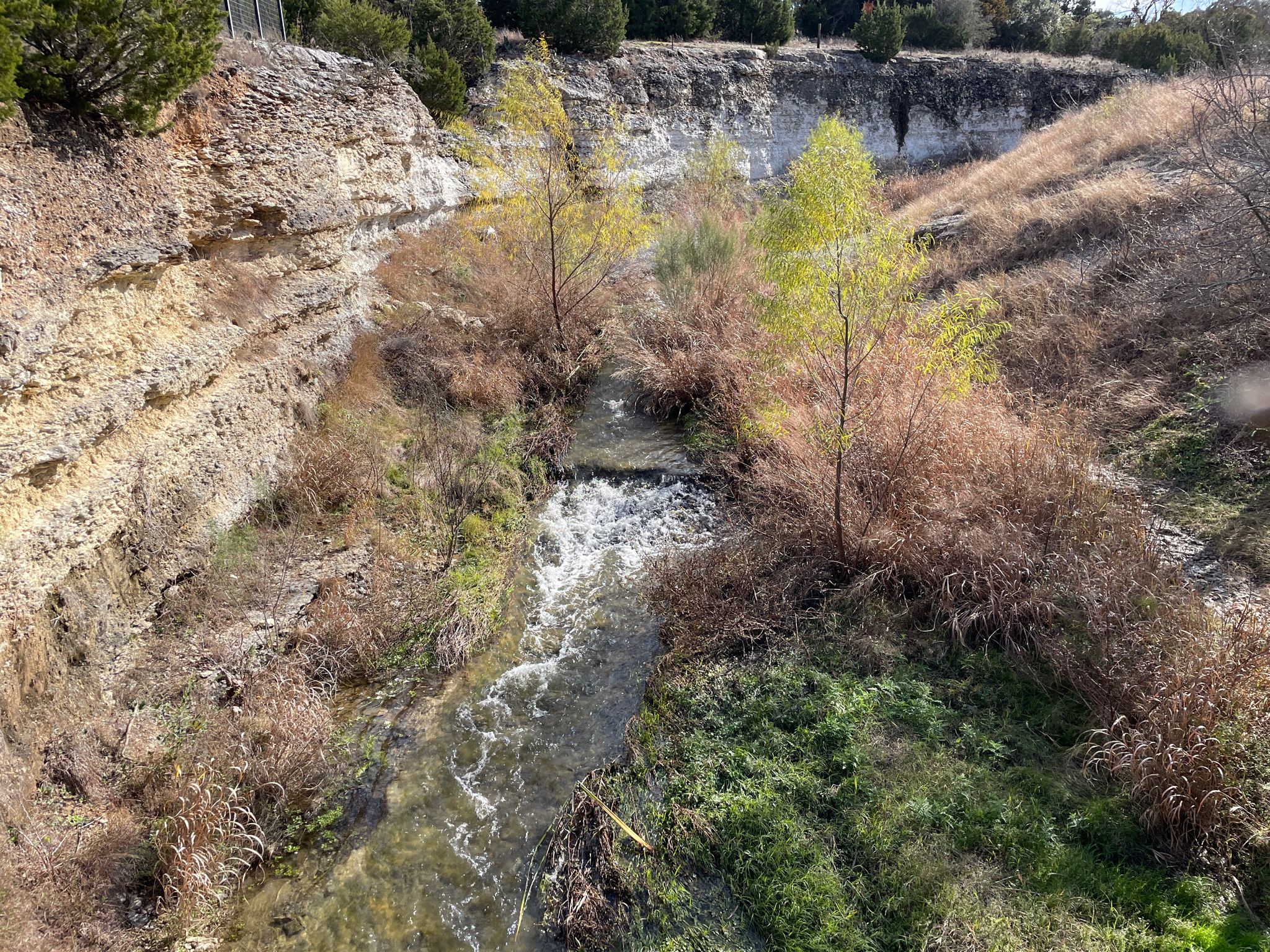 Stream flowing through a rocky canyon with green and brown vegetation. - Round Rock to Brushy Creek Hike and Bike Trail loop