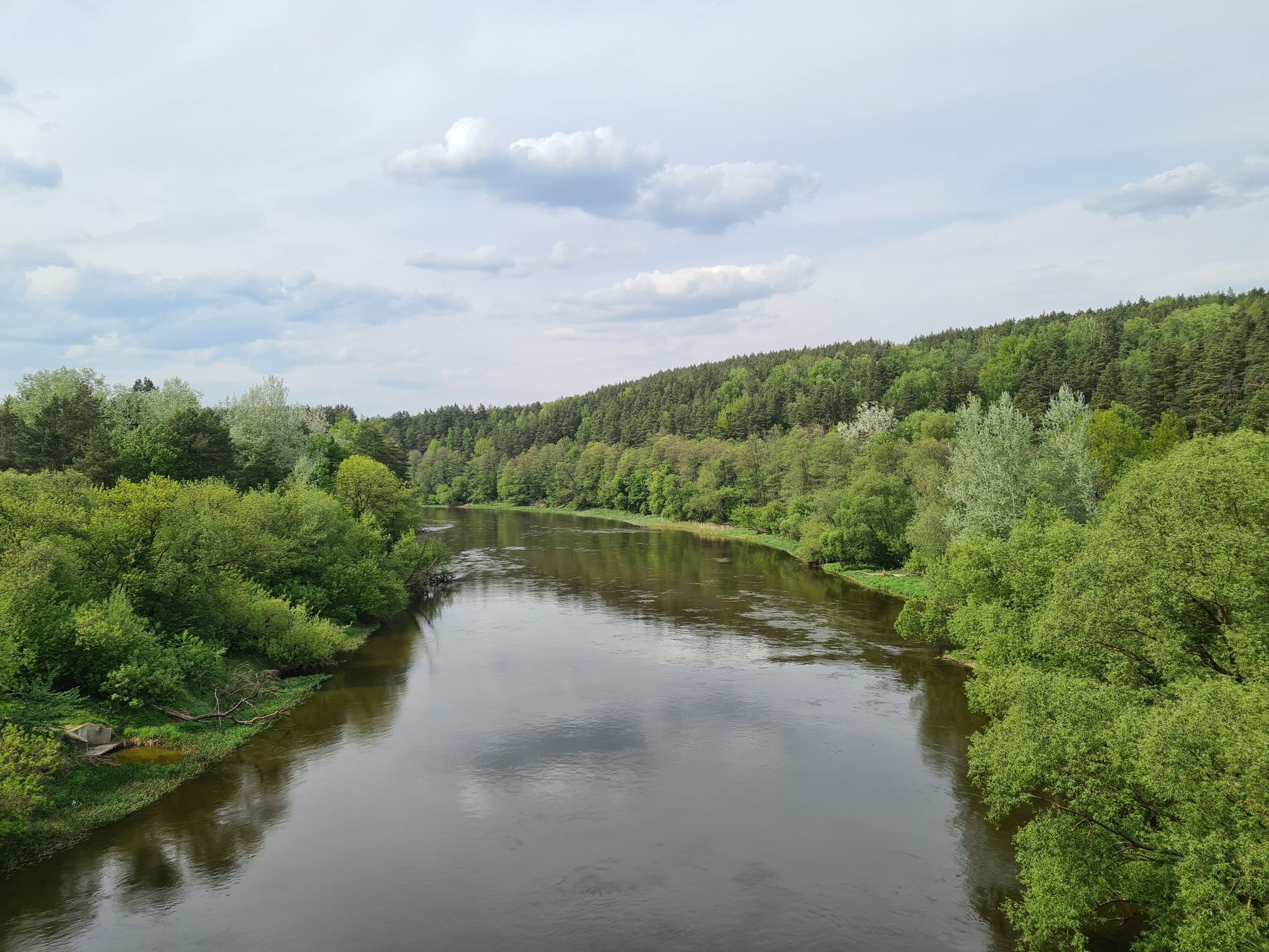 view from the bridge