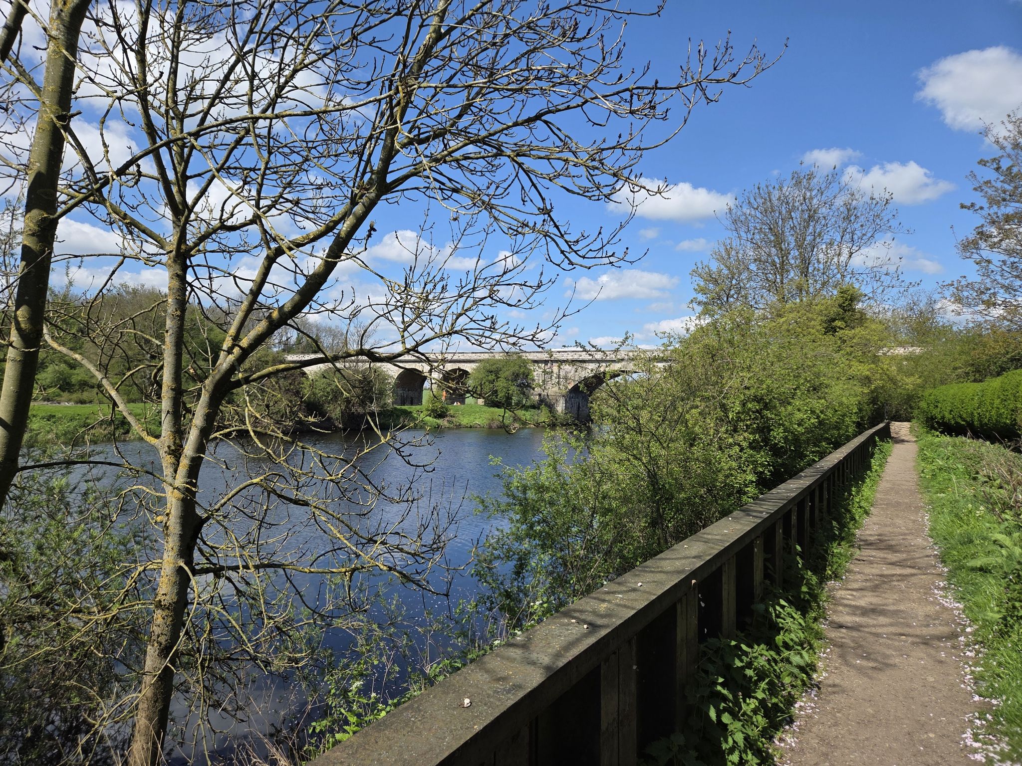 Tadcaster viaduct 