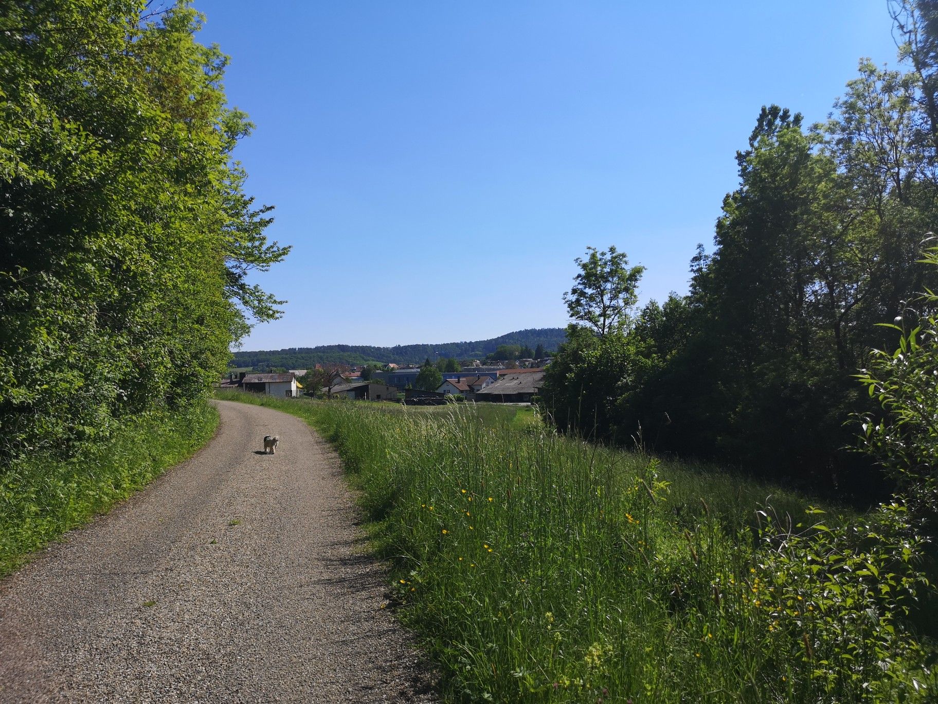 Richtung Lehrensteinsfeld 