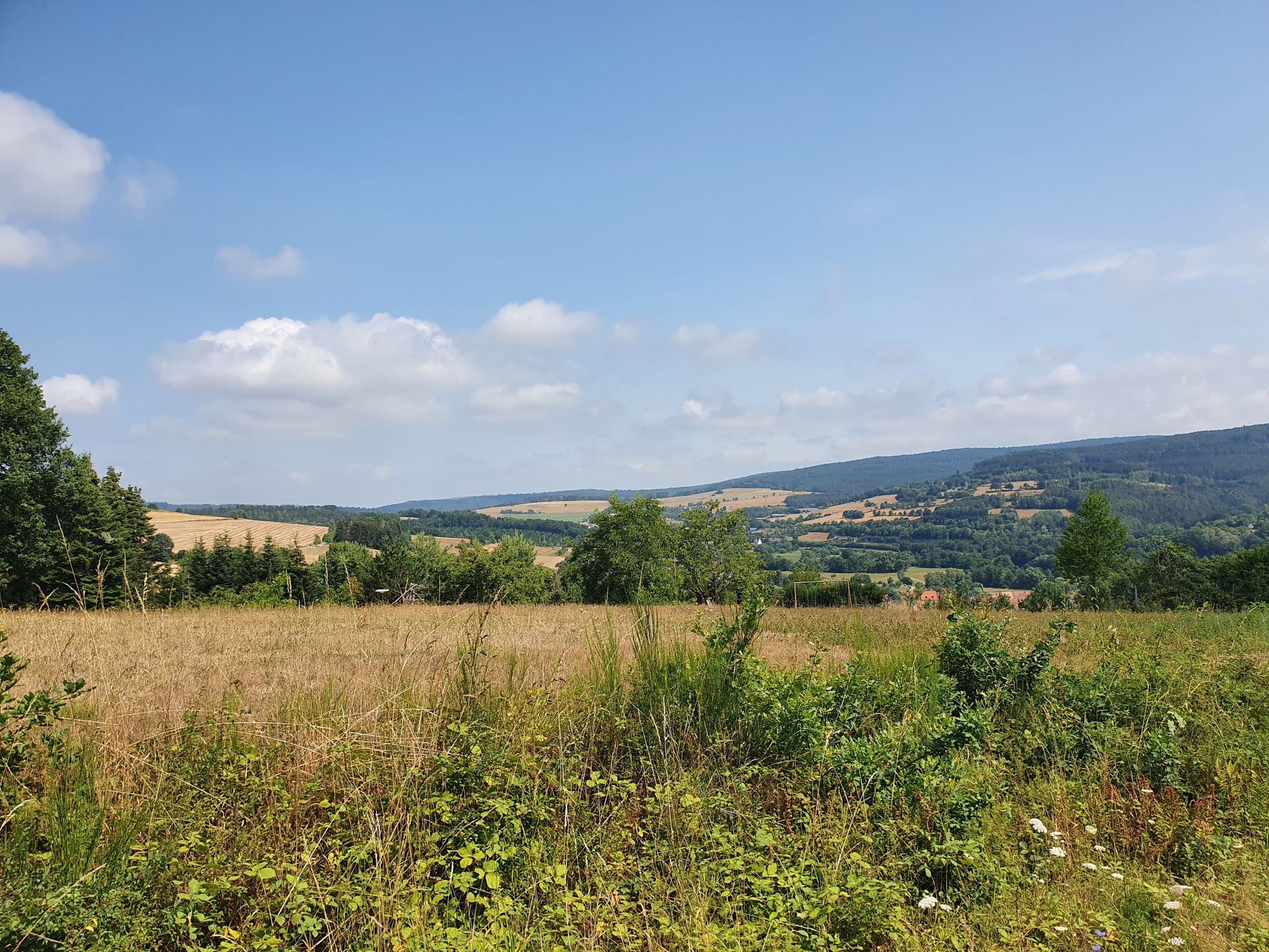 Blick auf Mittelsinn