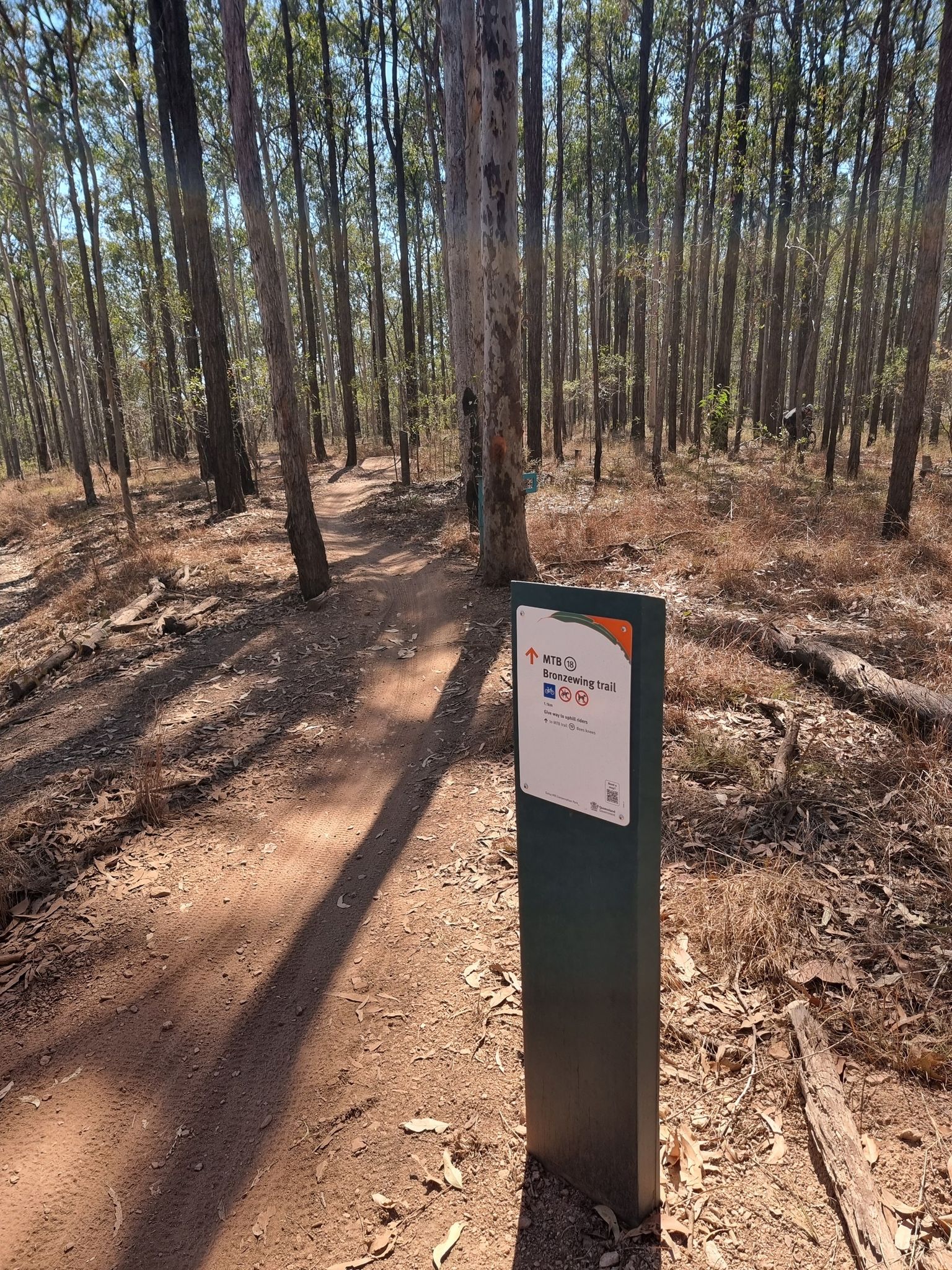 MTB -Bronzewing trail - Daisy Hill
