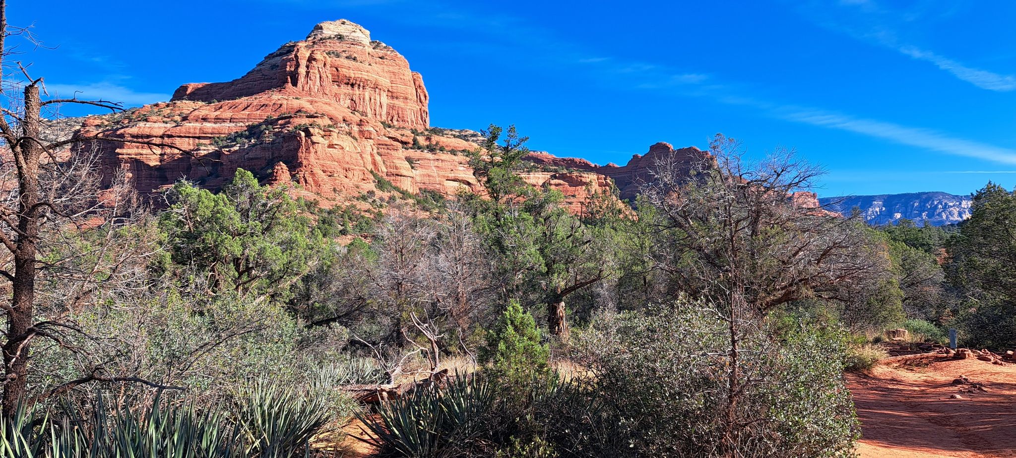 Towering red rock formation over green desert trees and a dirt path. - Mescal Mountain Loop